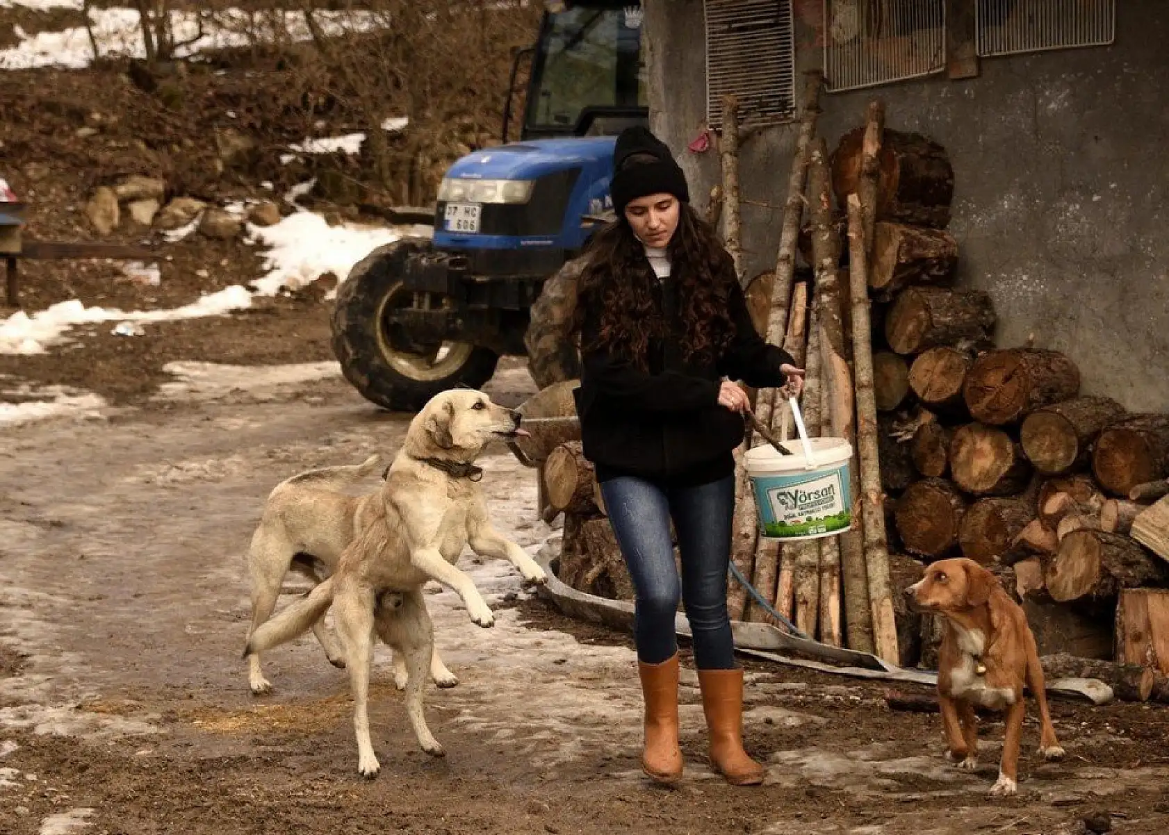 Uzaktan eğitim sürecinde köyünde koyun otlatıyor