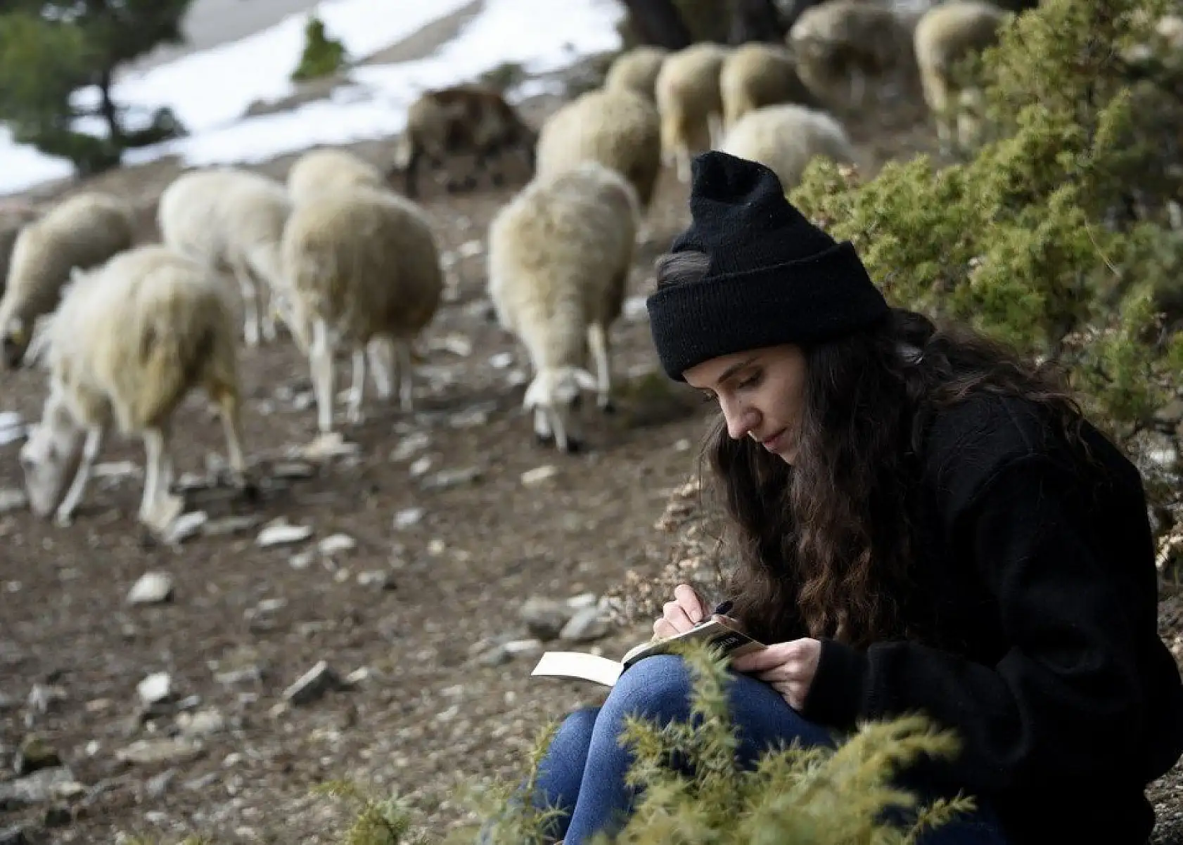 Uzaktan eğitim sürecinde köyünde koyun otlatıyor