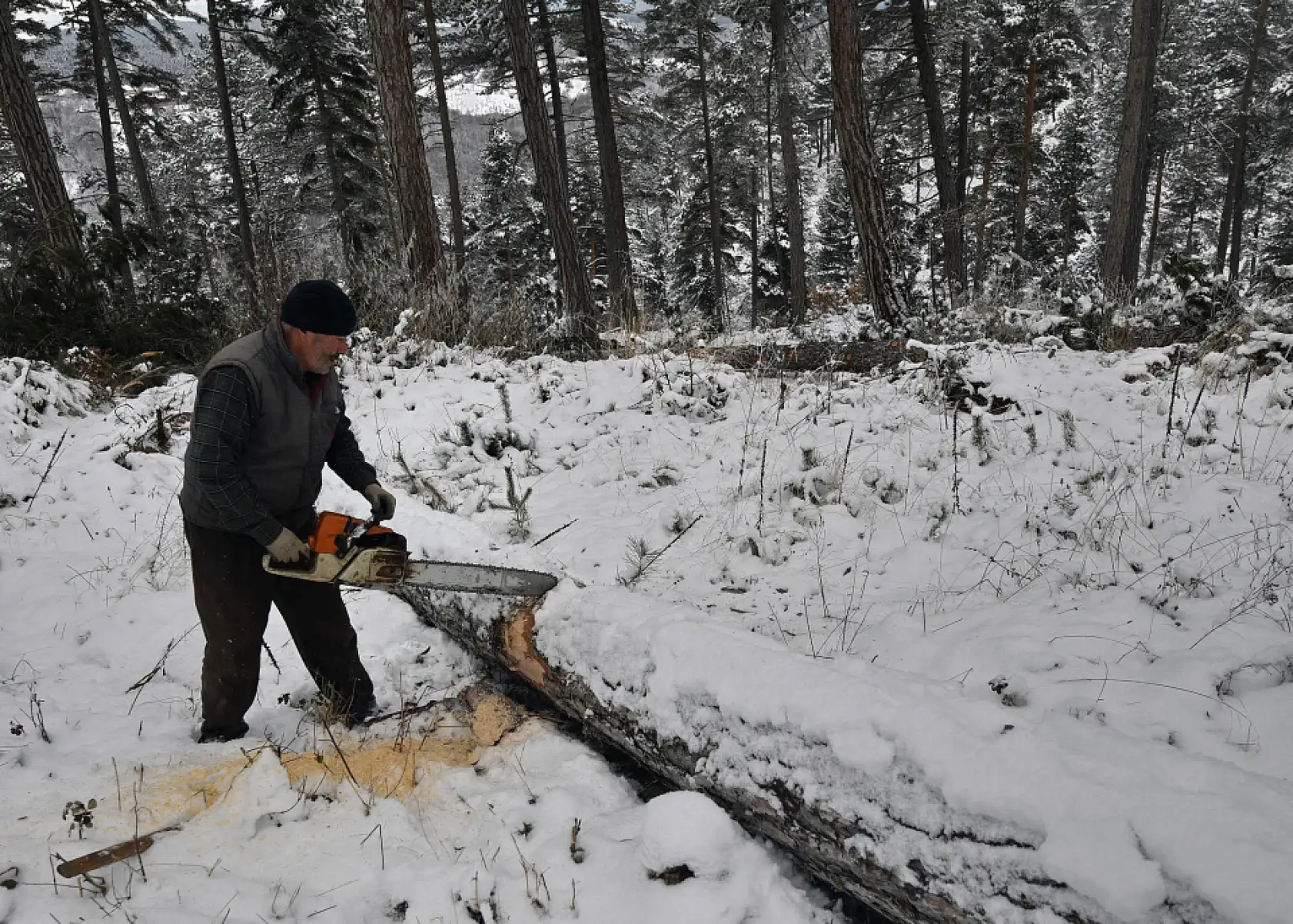 Zorlu şartlarda ekmeklerini ormandan çıkarıyorlar