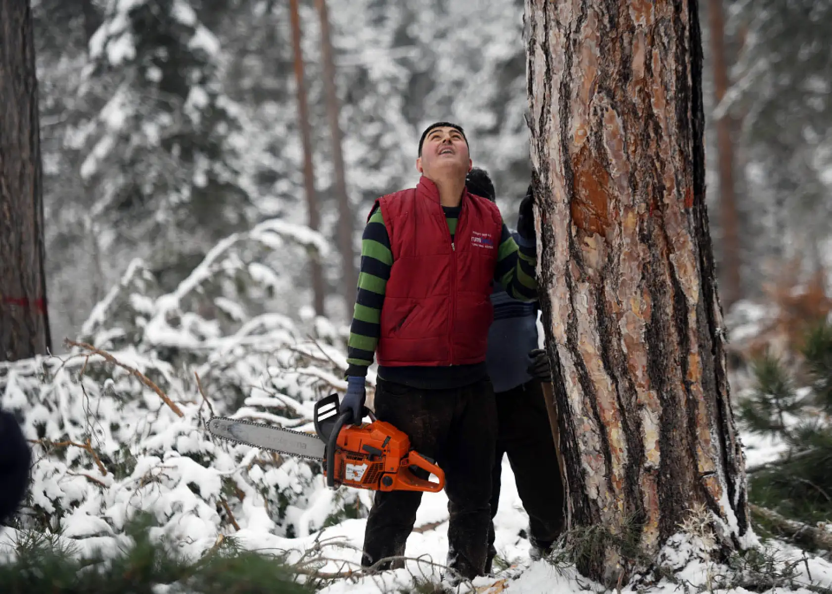 Zorlu şartlarda ekmeklerini ormandan çıkarıyorlar