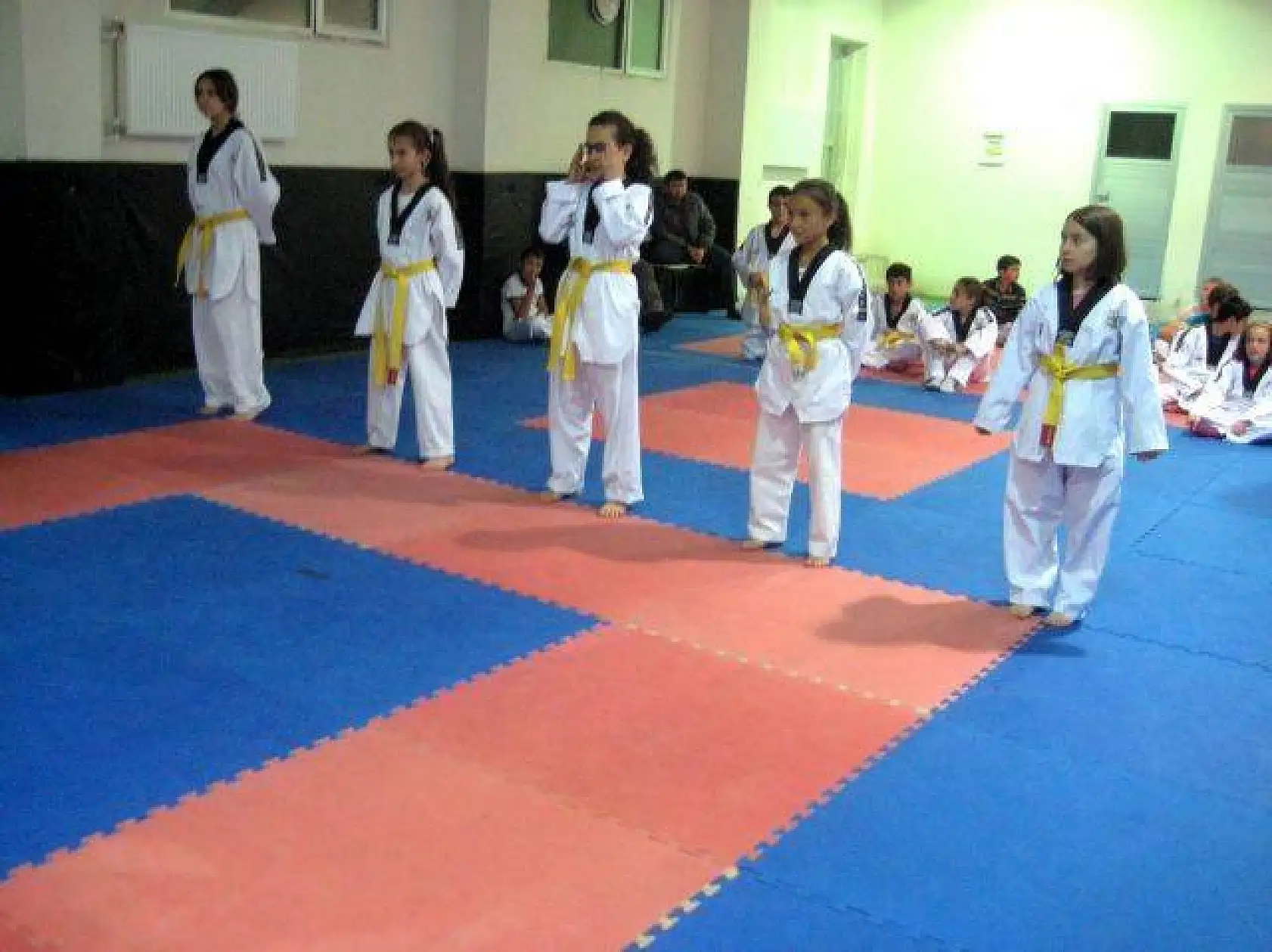 Orman Spor Kulübü Eylül 2013 kuşak sınavı