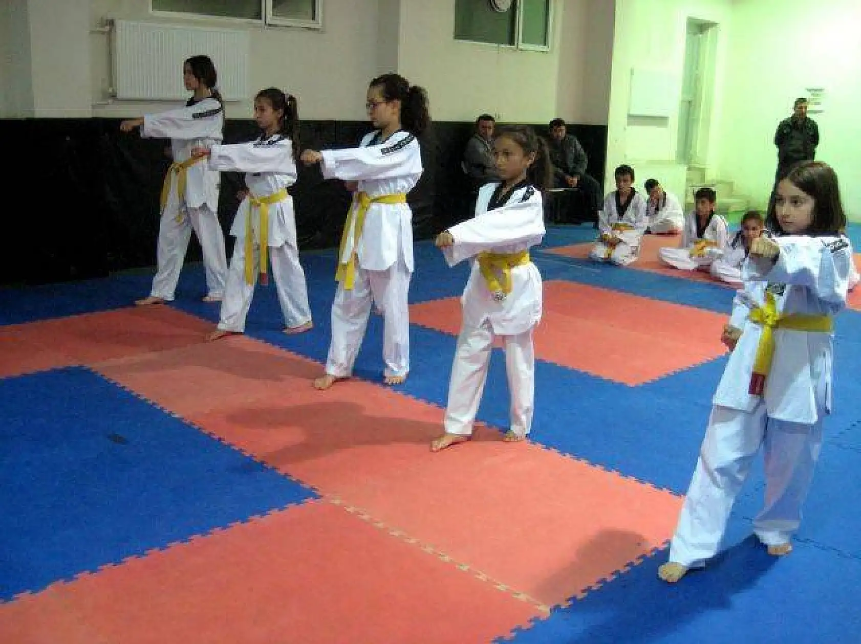 Orman Spor Kulübü Eylül 2013 kuşak sınavı