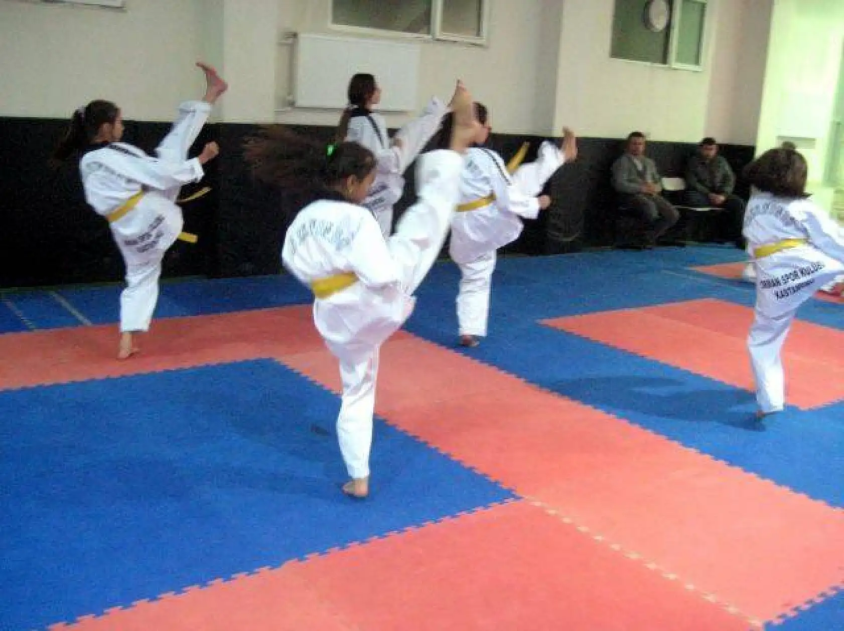 Orman Spor Kulübü Eylül 2013 kuşak sınavı