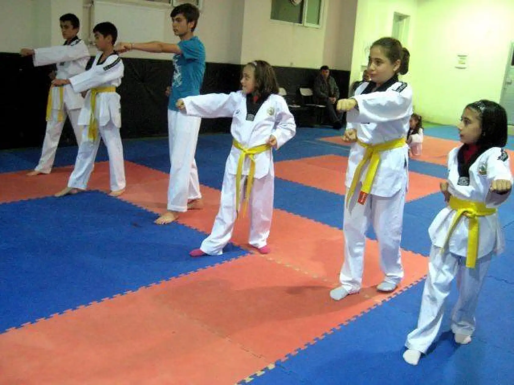 Orman Spor Kulübü Eylül 2013 kuşak sınavı