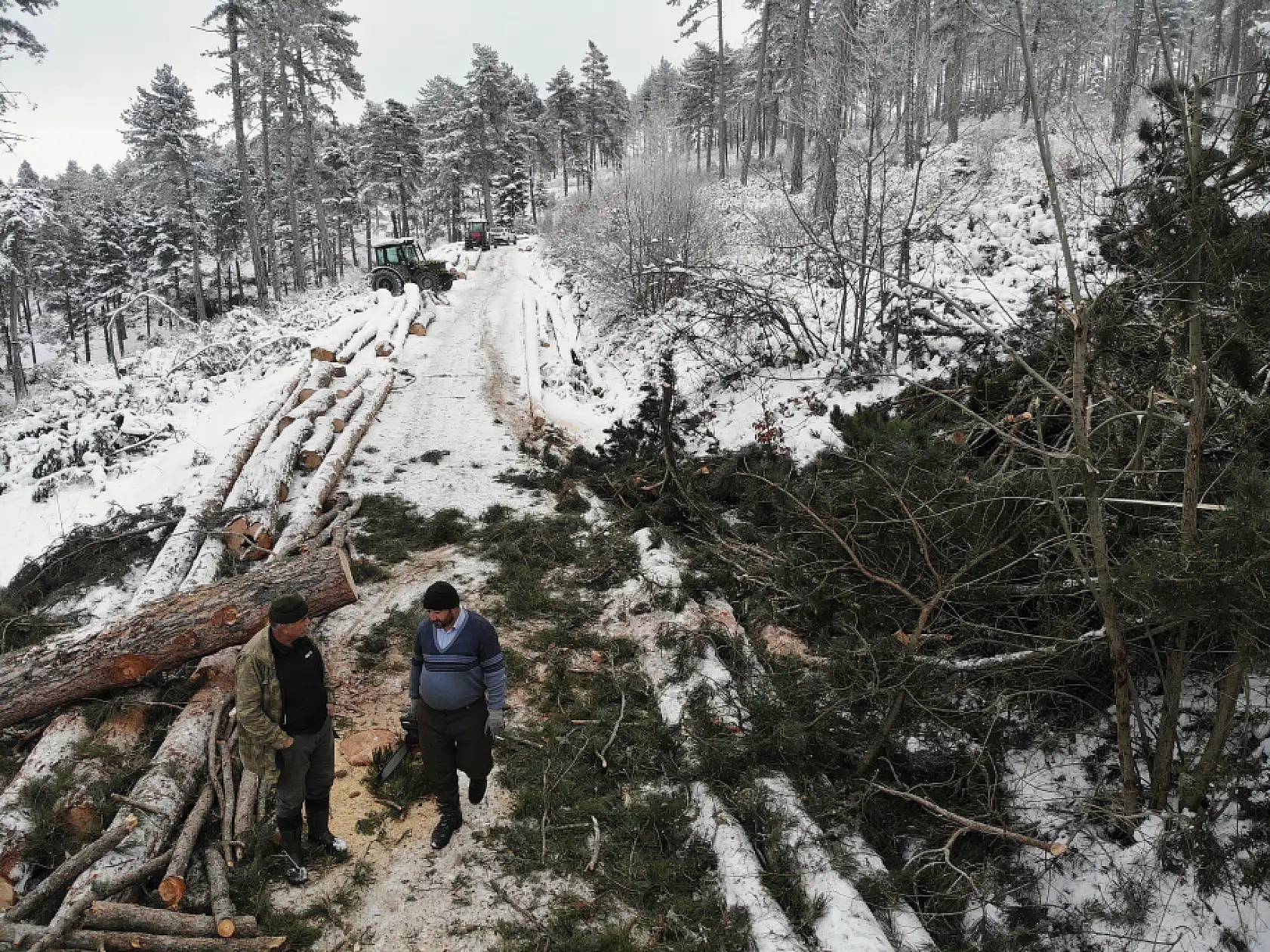 Zorlu şartlarda ekmeklerini ormandan çıkarıyorlar