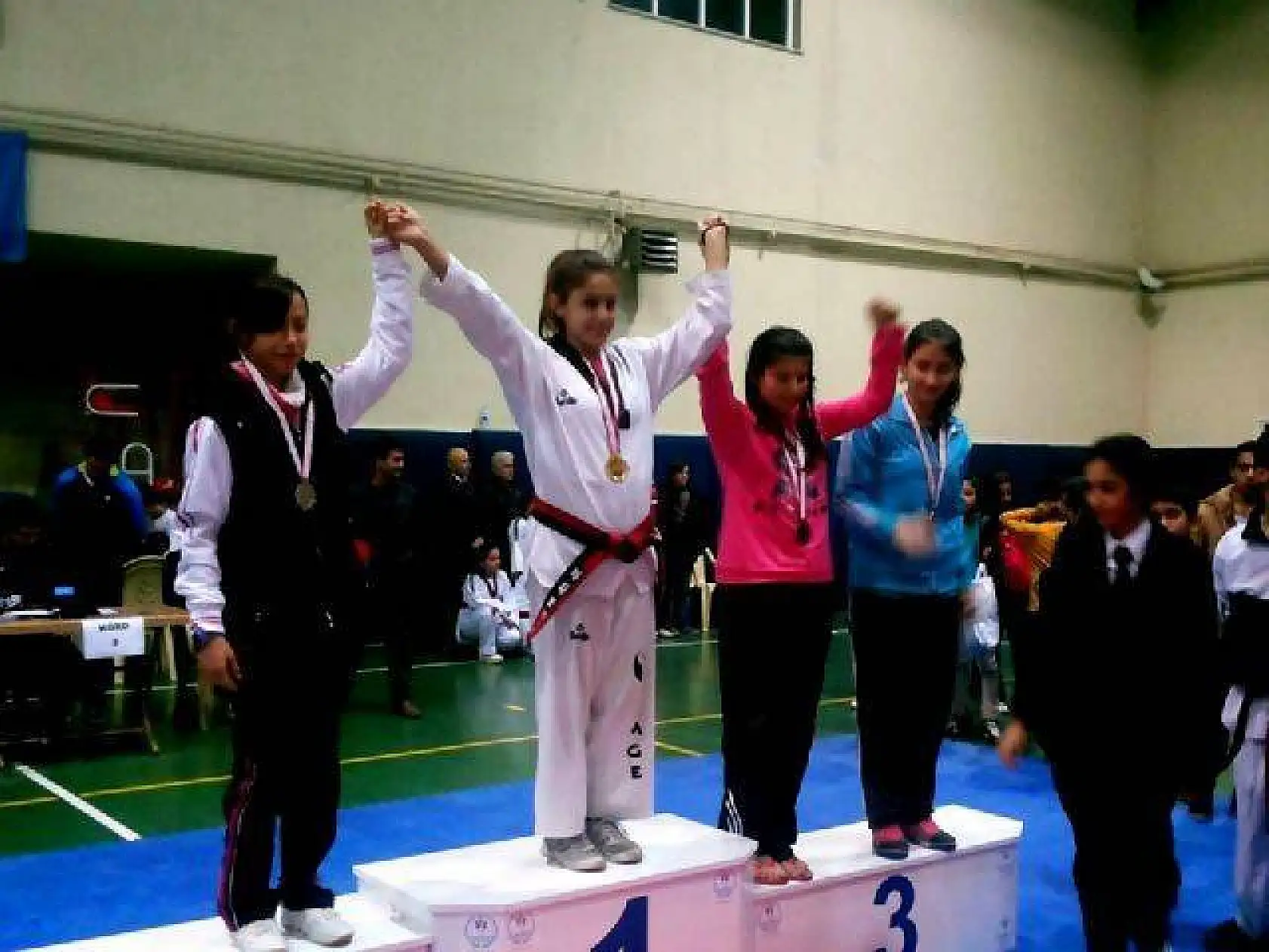 Düzce Batı Karadeniz Ligi Taekwondo Şampiyonası-16.11.2013