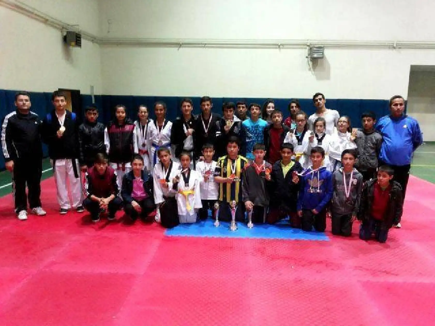 Düzce Batı Karadeniz Ligi Taekwondo Şampiyonası-16.11.2013