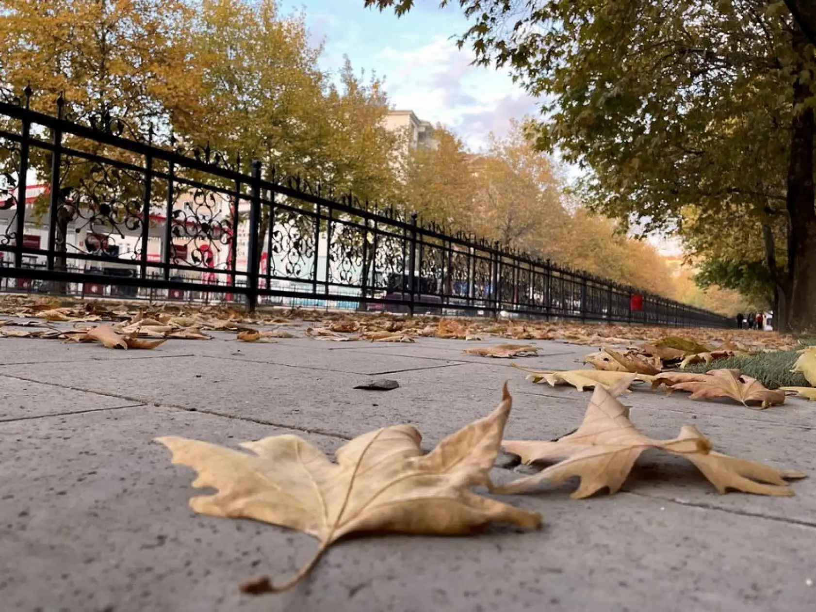 Şehir merkezinde sonbahar ayrı bir güzel