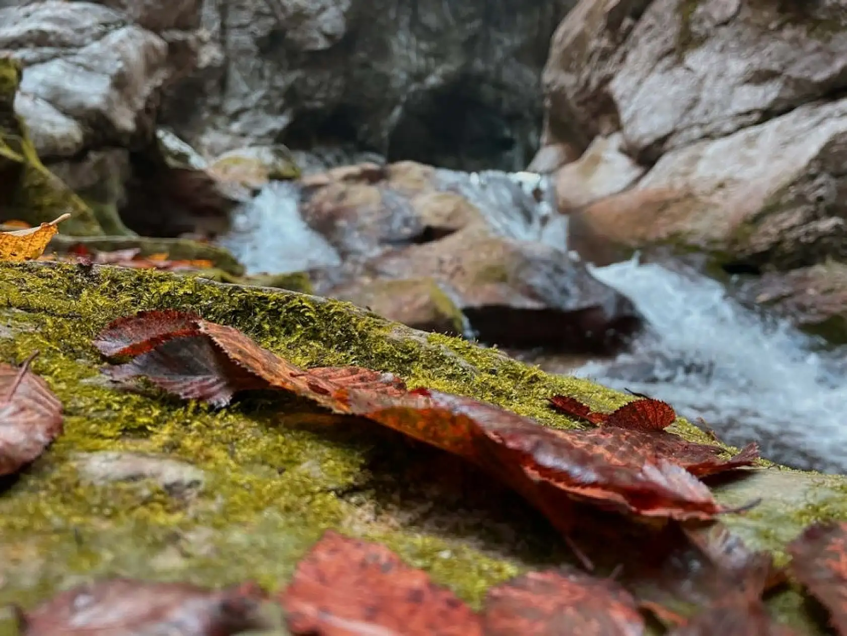 Horma Kanyonu ve Ilıca Şelalesi'nde sonbahar renkleri