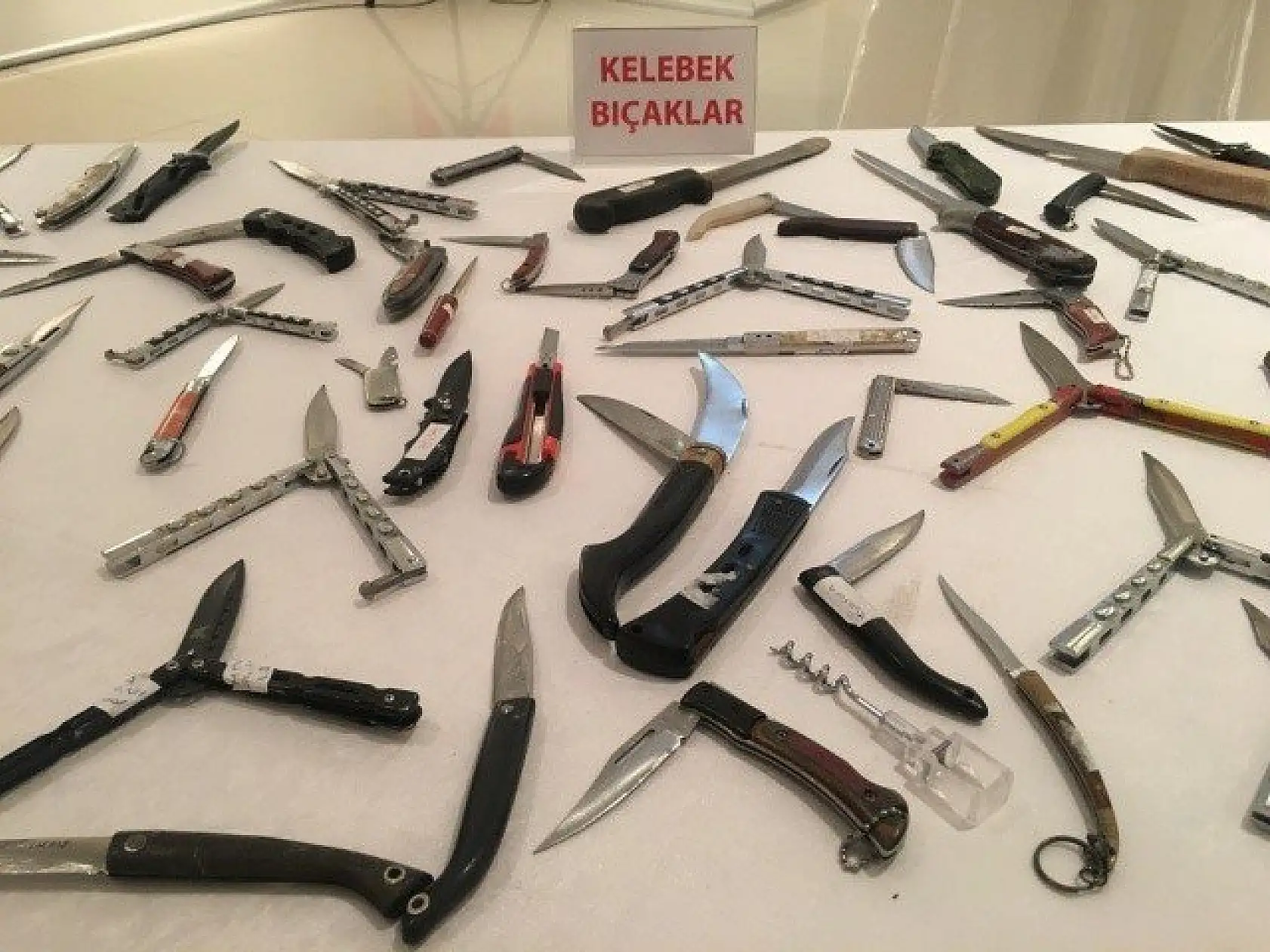 Adiyede ele geçirilen suç aletleri sergilendi