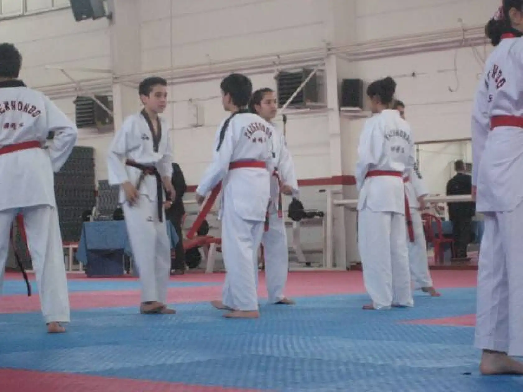 Taekwondo Dan Sınavı 28.12.2013 Ankara