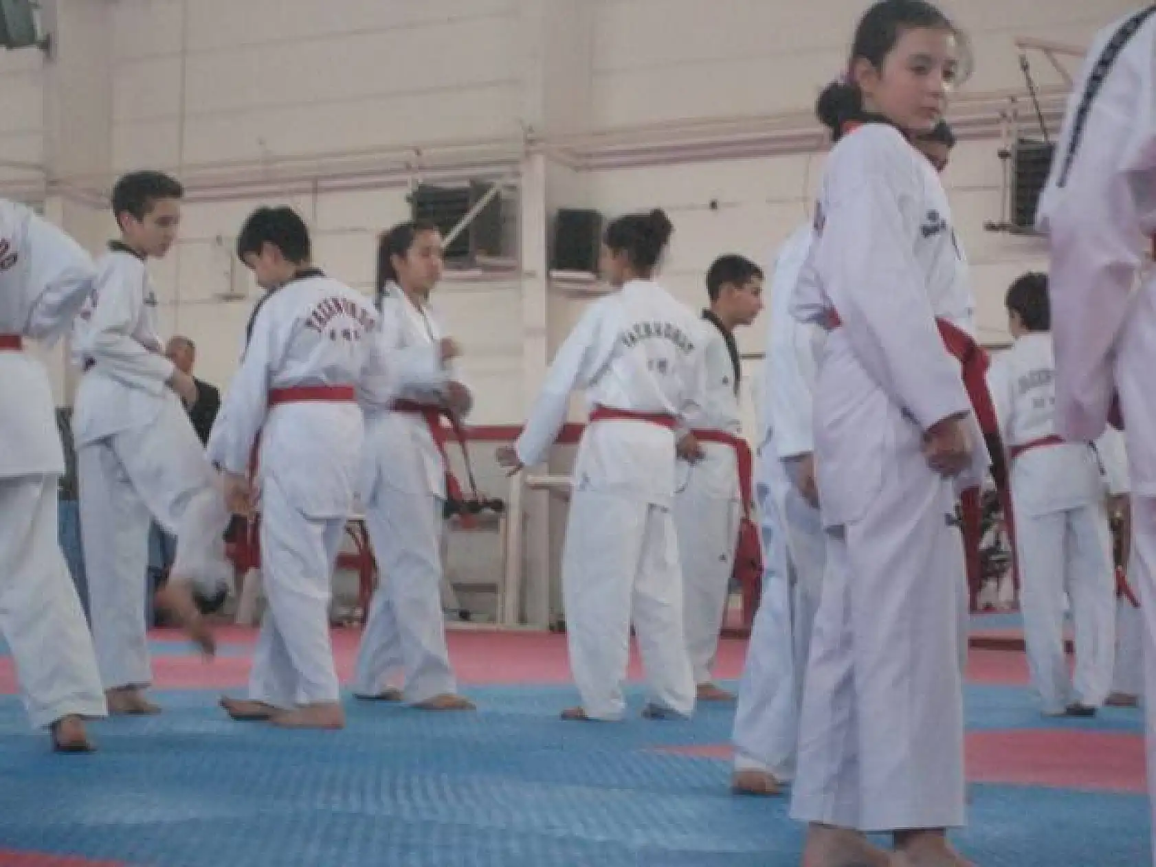 Taekwondo Dan Sınavı 28.12.2013 Ankara