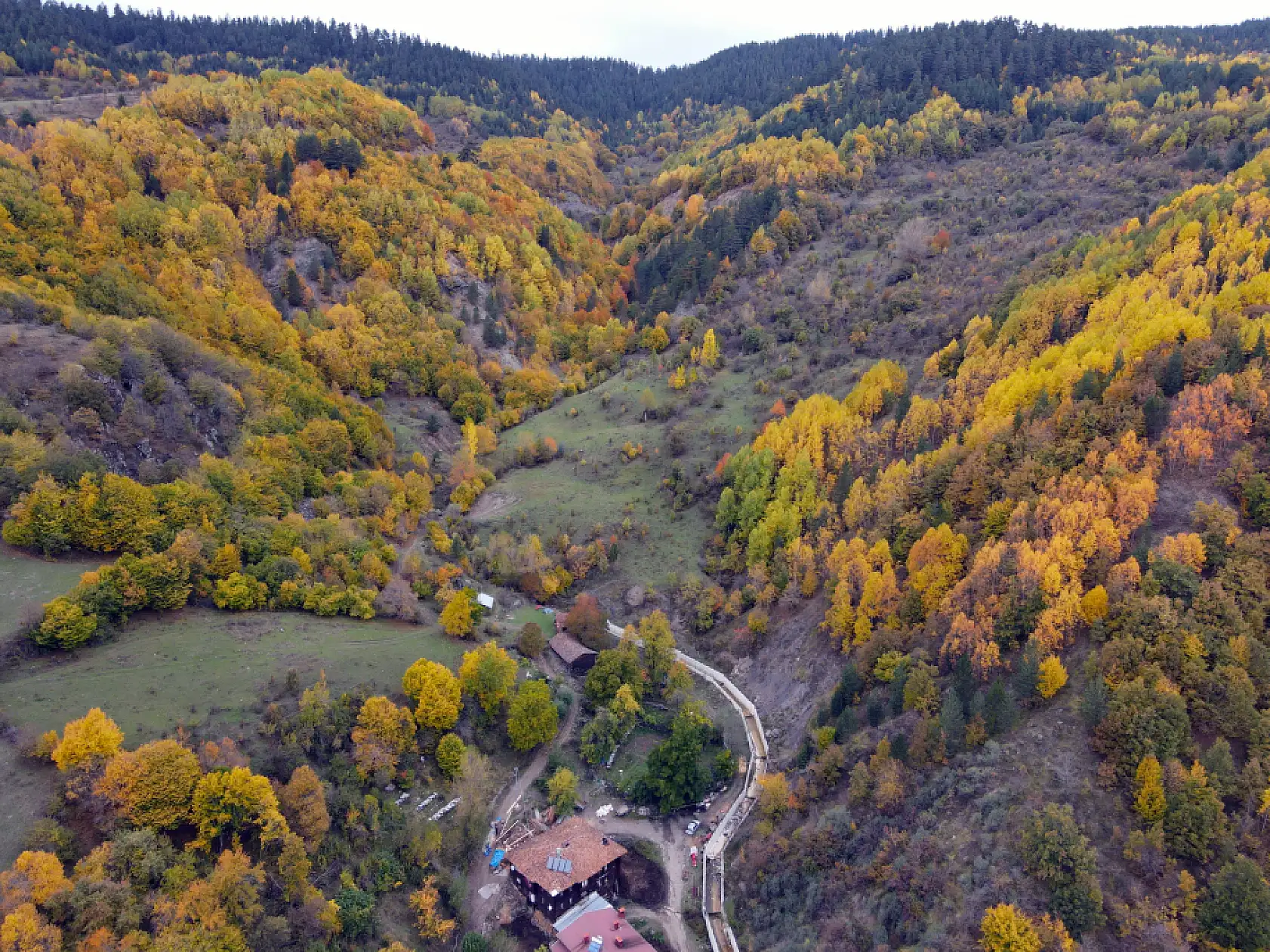 Ilgaz Dağı'nda farklı renk tonları