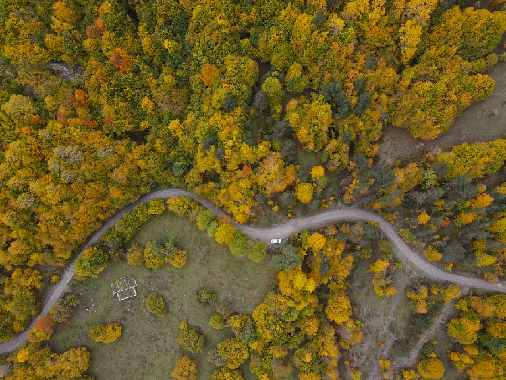 Ilgaz Dağı'nda farklı renk tonları