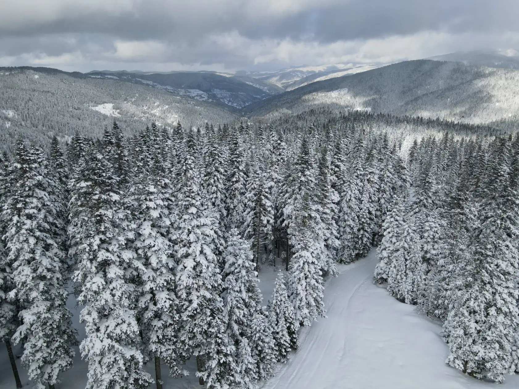 Karla kaplı ormanlar havadan görüntülendi