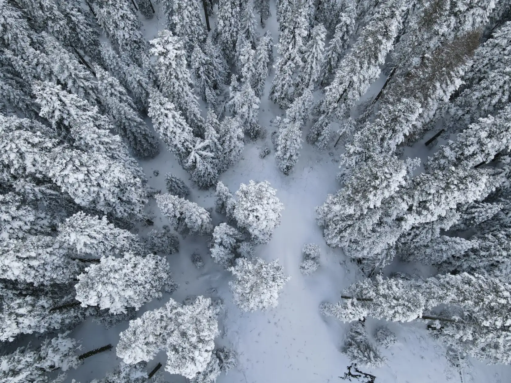 Karla kaplı ormanlar havadan görüntülendi