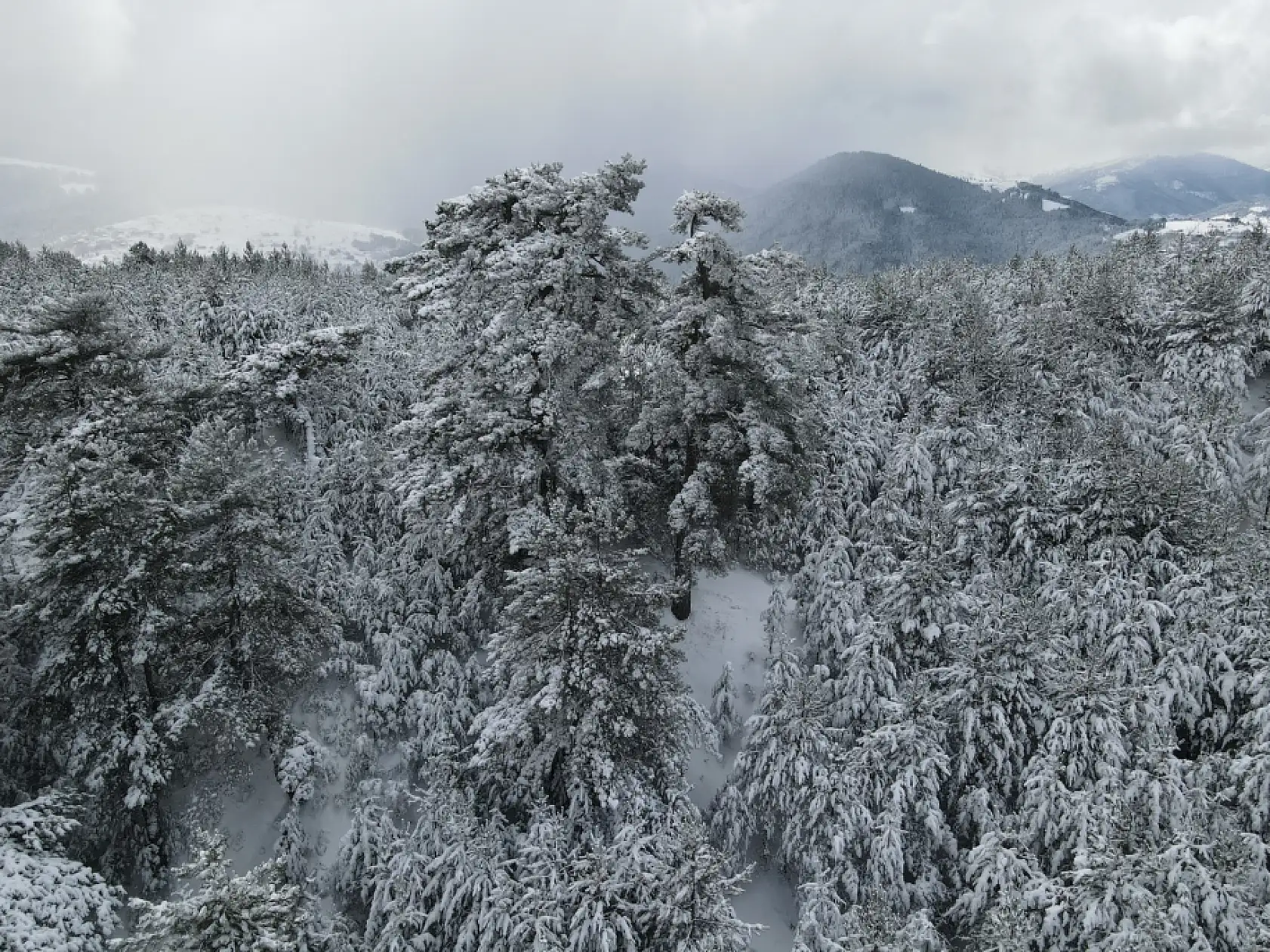 Karla kaplı ormanlar havadan görüntülendi