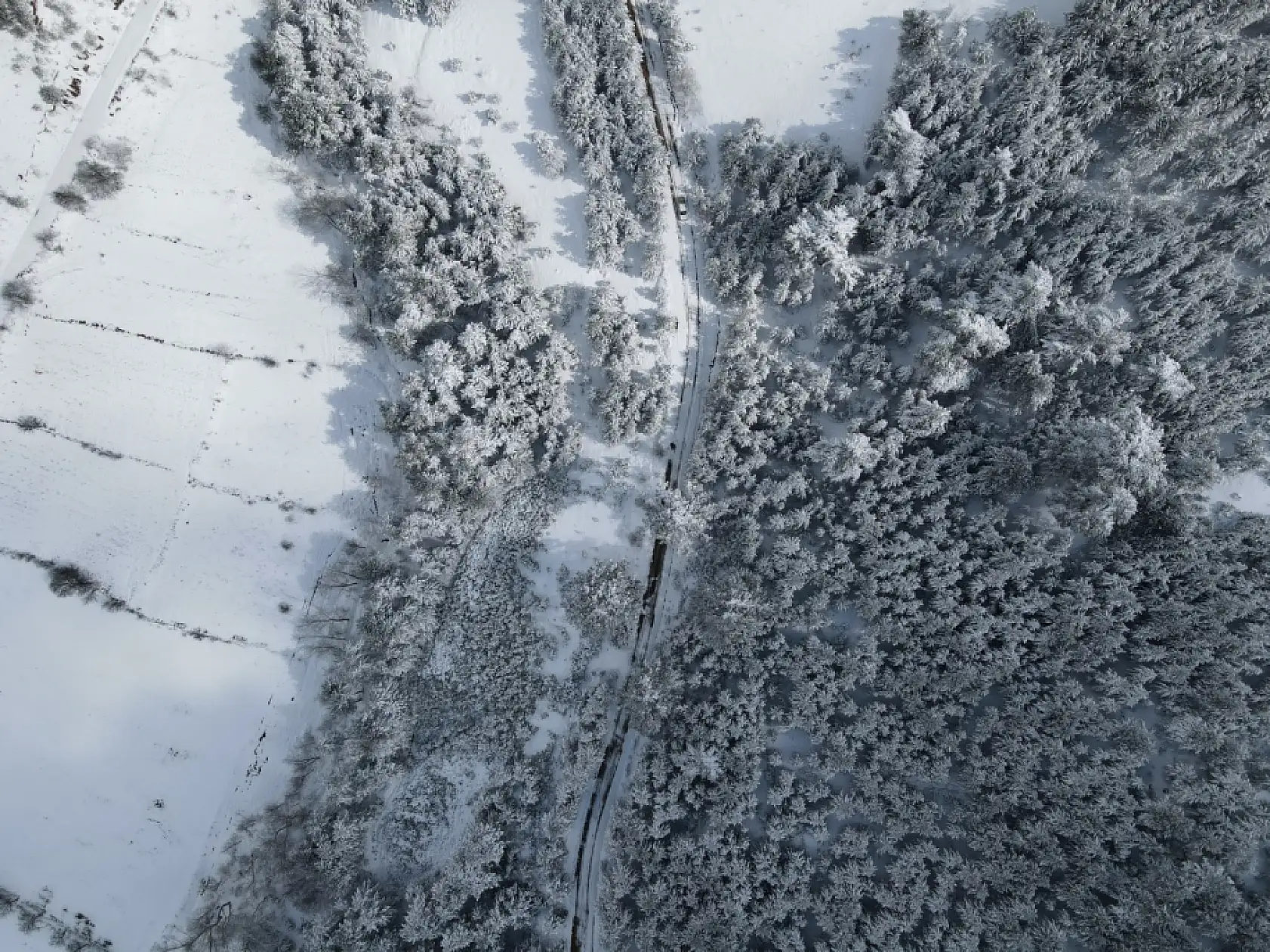 Karla kaplı ormanlar havadan görüntülendi