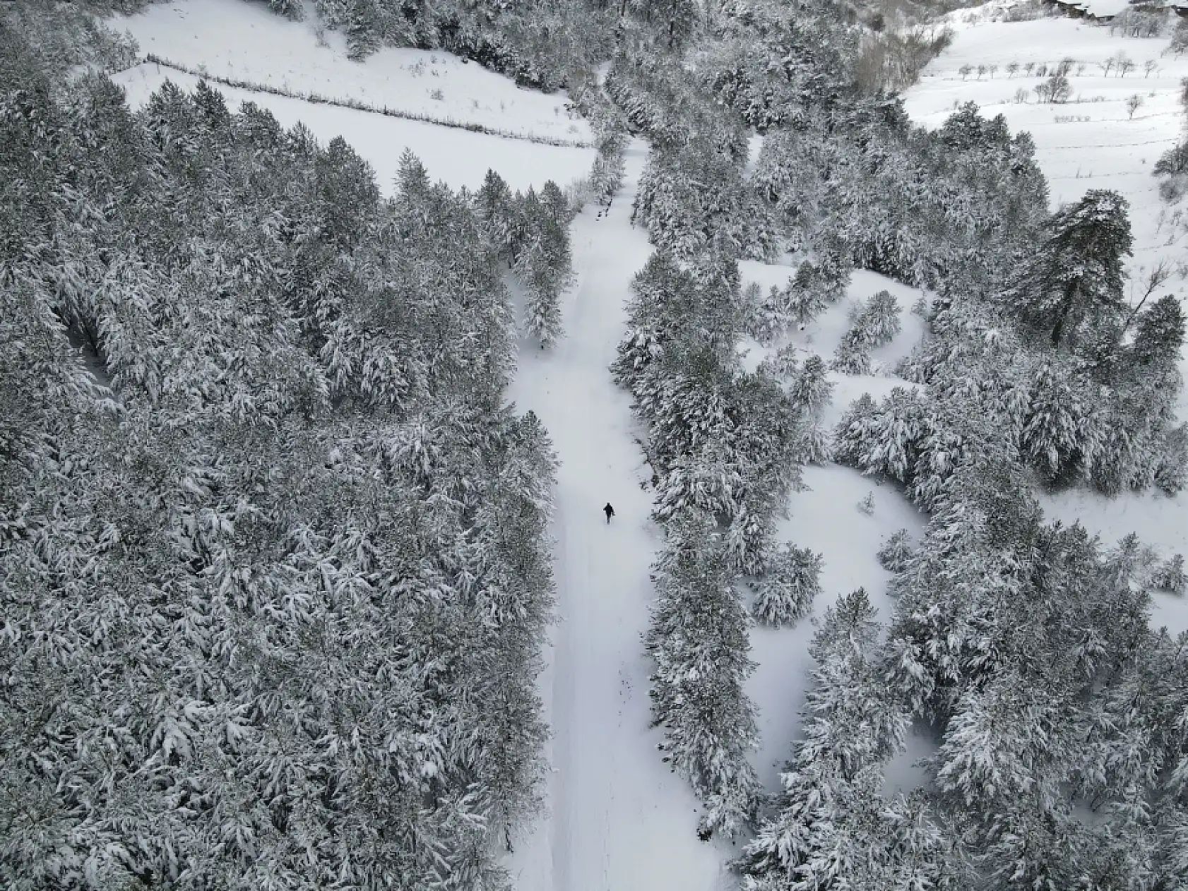 Karla kaplı ormanlar havadan görüntülendi