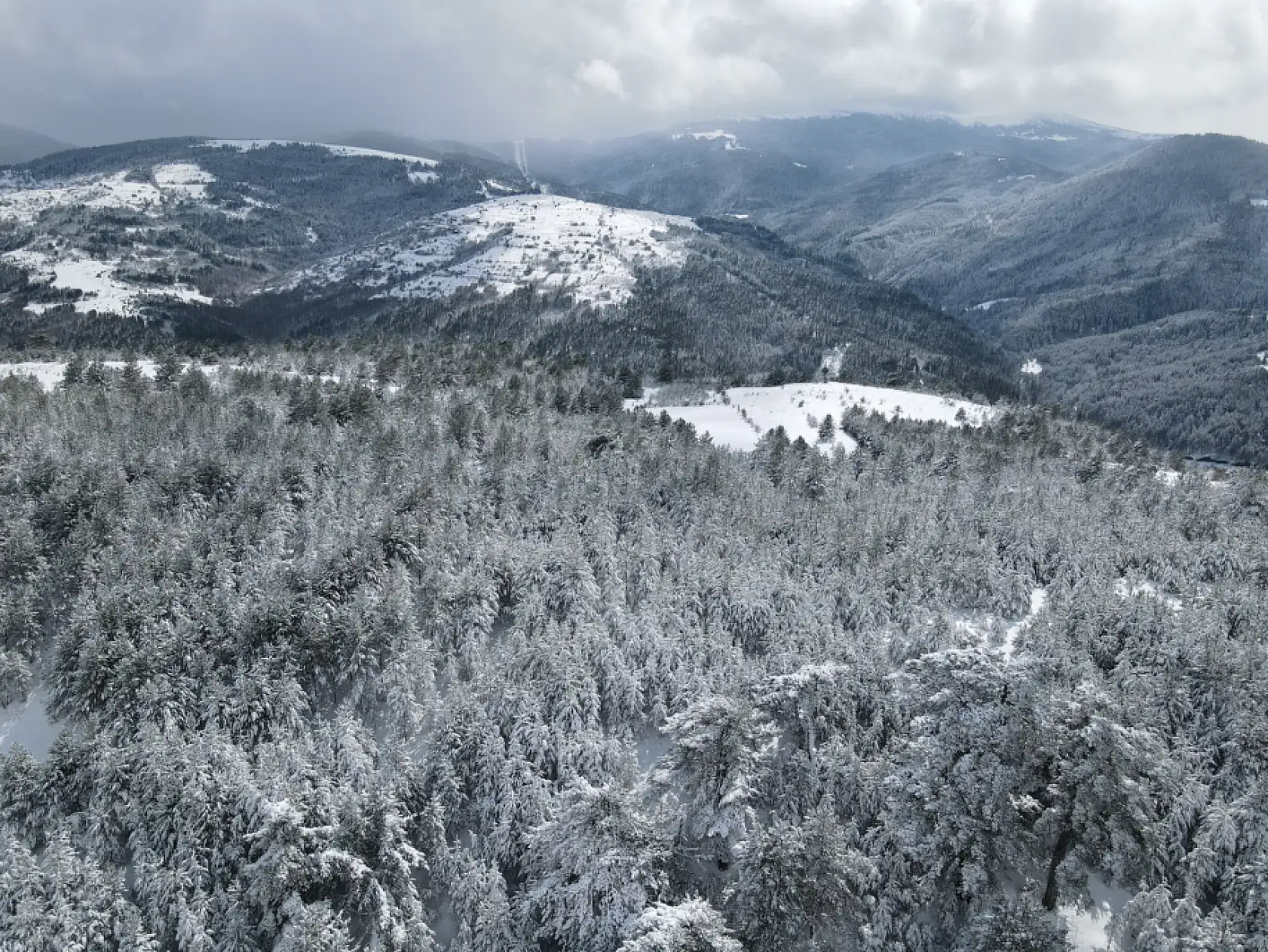 Karla kaplı ormanlar havadan görüntülendi