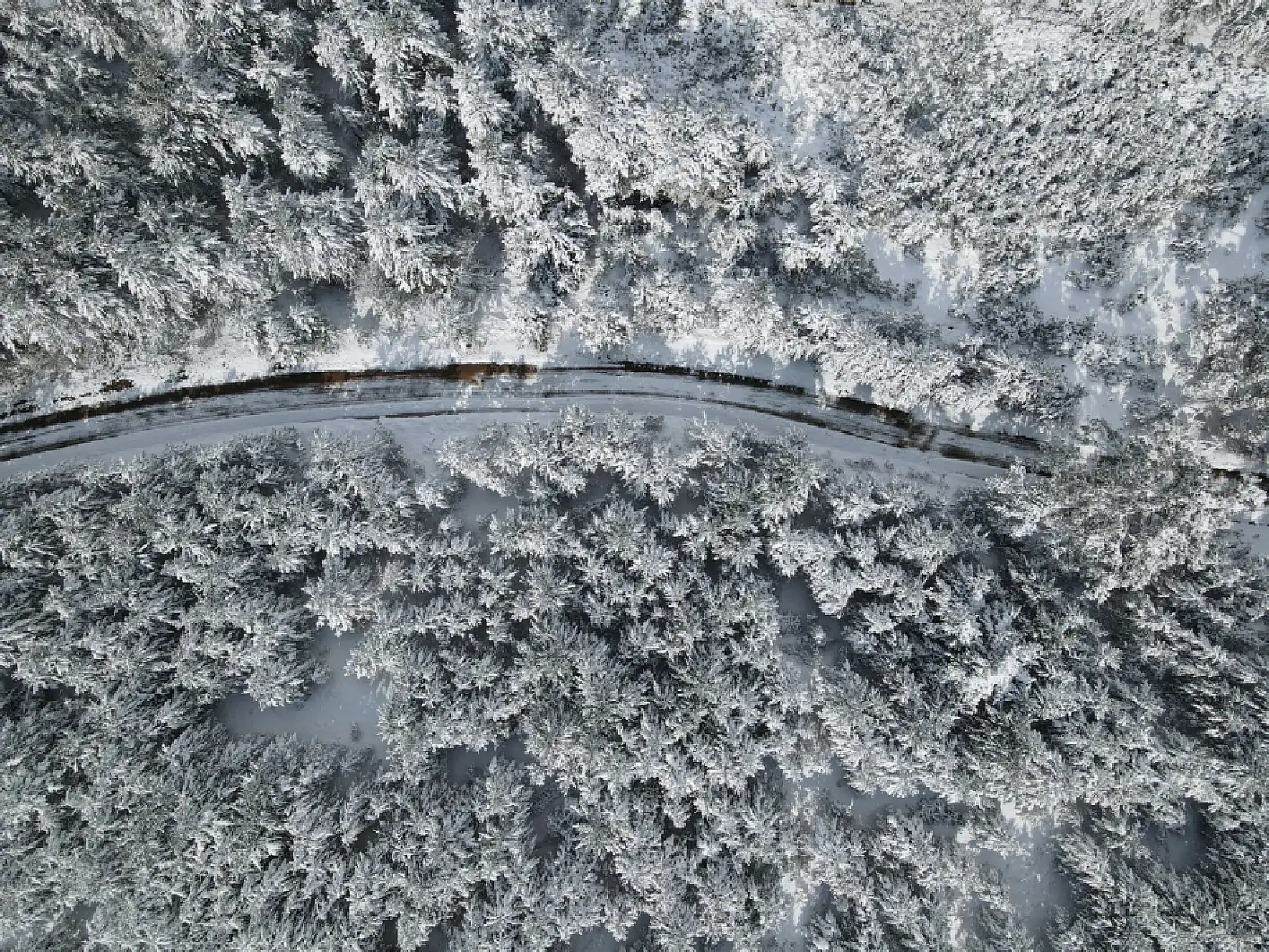 Karla kaplı ormanlar havadan görüntülendi