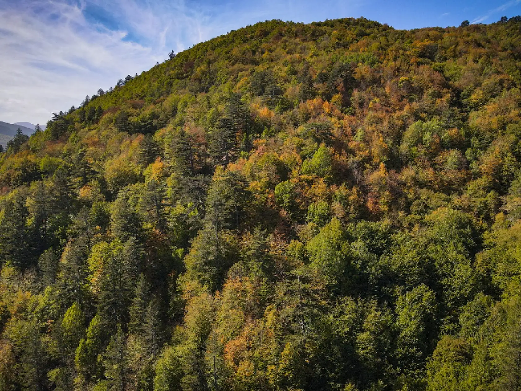 Ilgaz Dağı'nda sonbahar renkleri