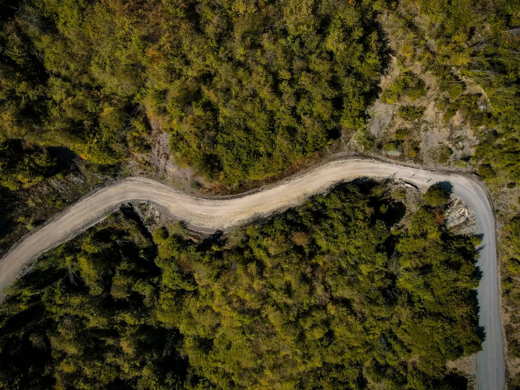 Ilgaz Dağı'nda sonbahar renkleri