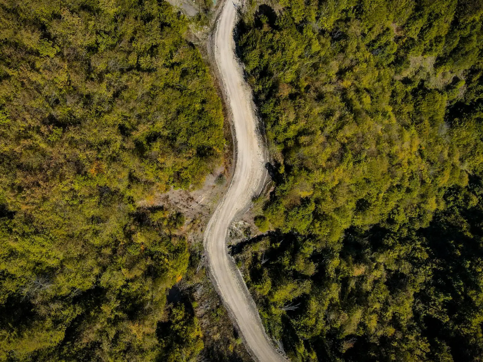 Ilgaz Dağı'nda sonbahar renkleri