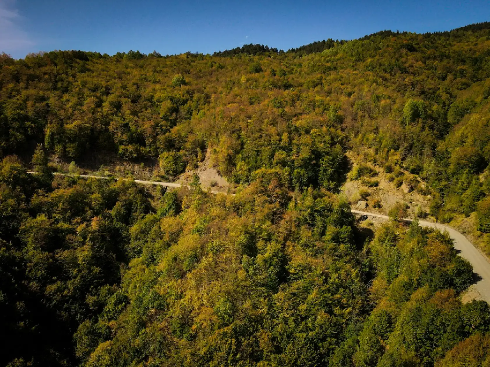 Ilgaz Dağı'nda sonbahar renkleri