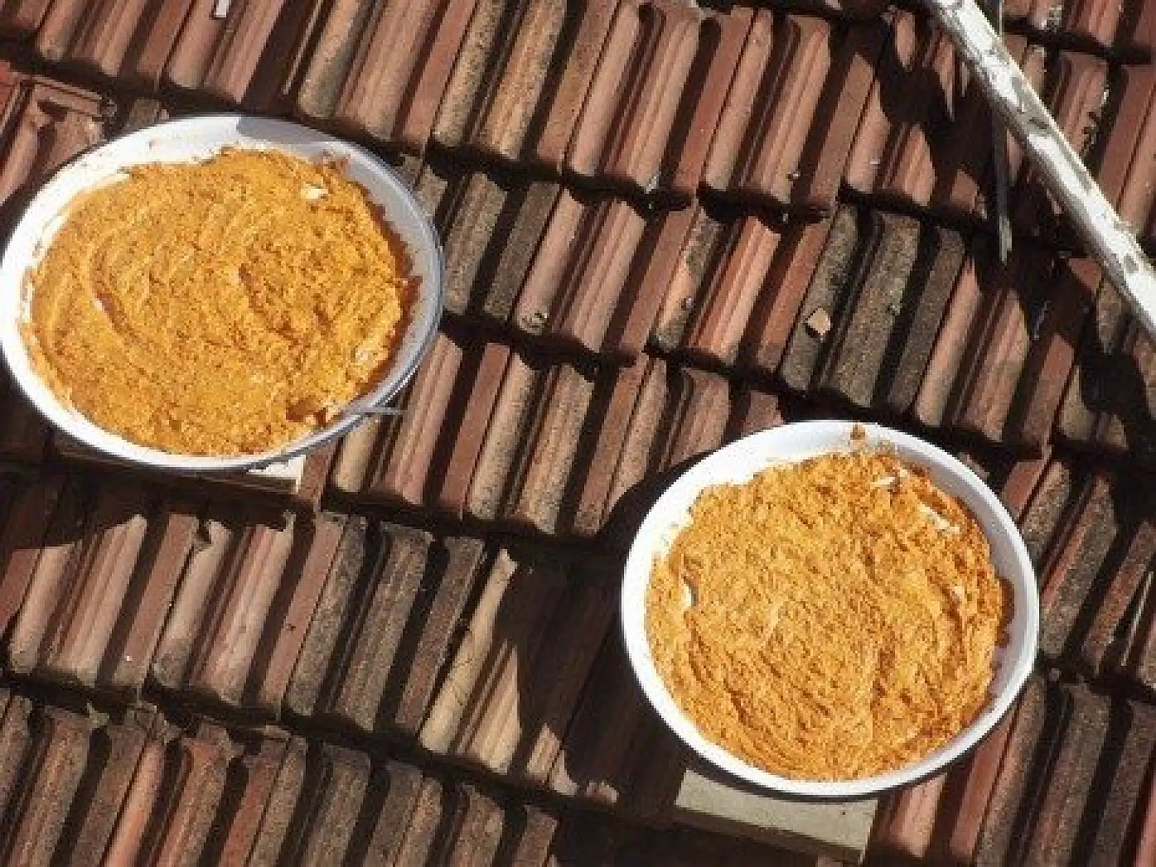 Kadınların kışlık telaşı başladı