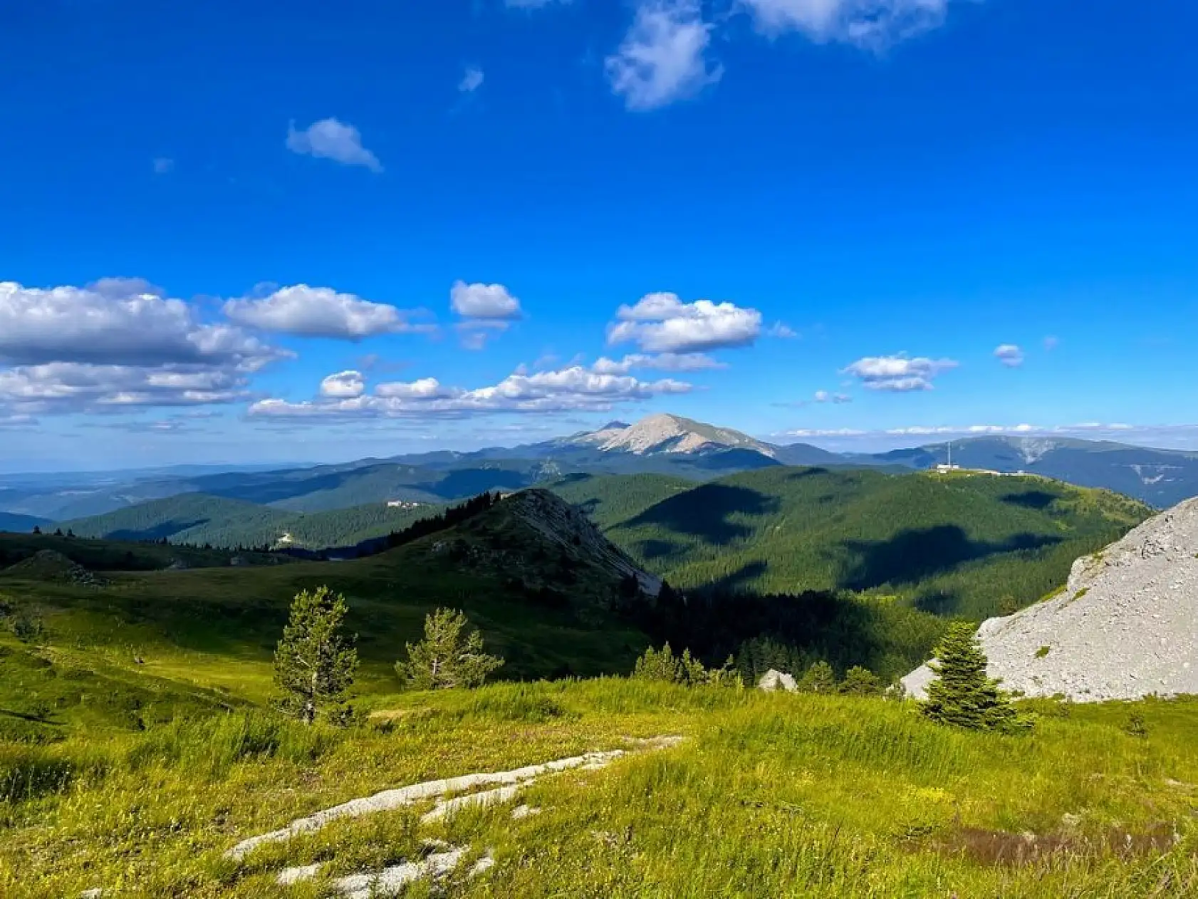 Ilgaz Dağı ağustosta ilkbaharı yaşıyor