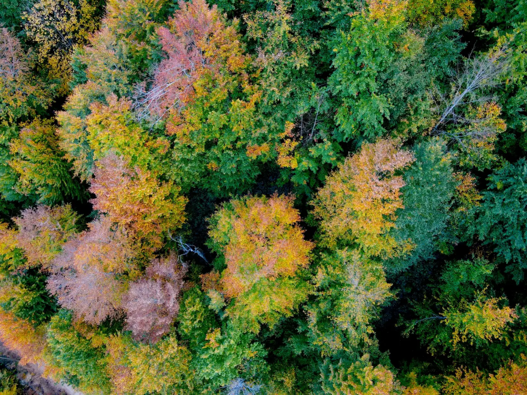 Loç Vadisinde sonbahar renkleri