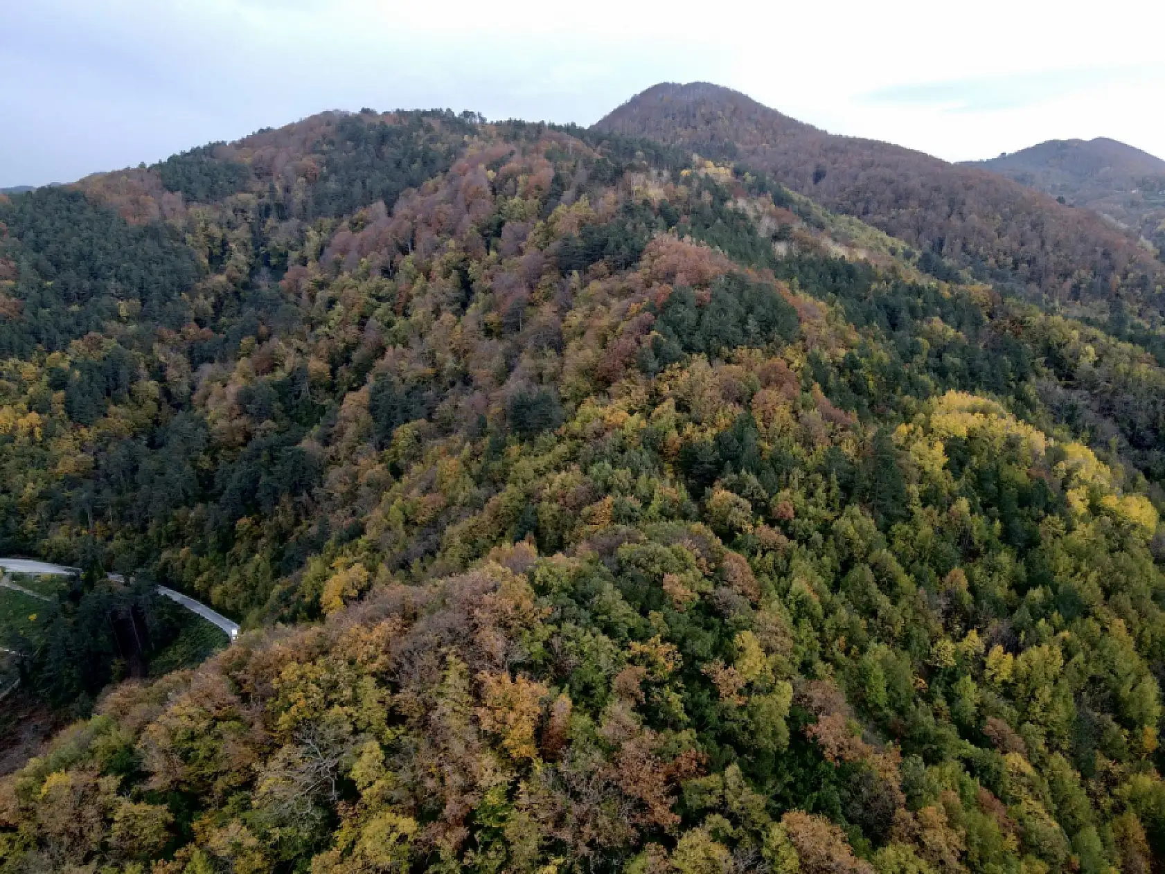 İnebolu ve Doğanyurt arasında sonbahar renkleri