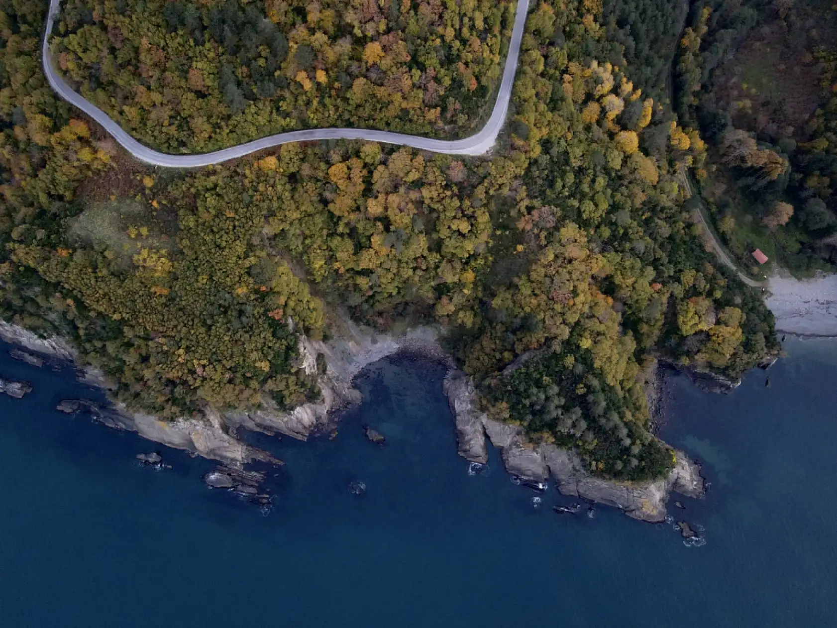 İnebolu ve Doğanyurt arasında sonbahar renkleri