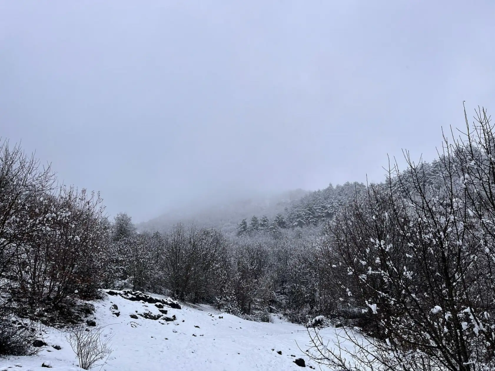 Mart ayı karı! Yüksek kesimlerde görsel şölen