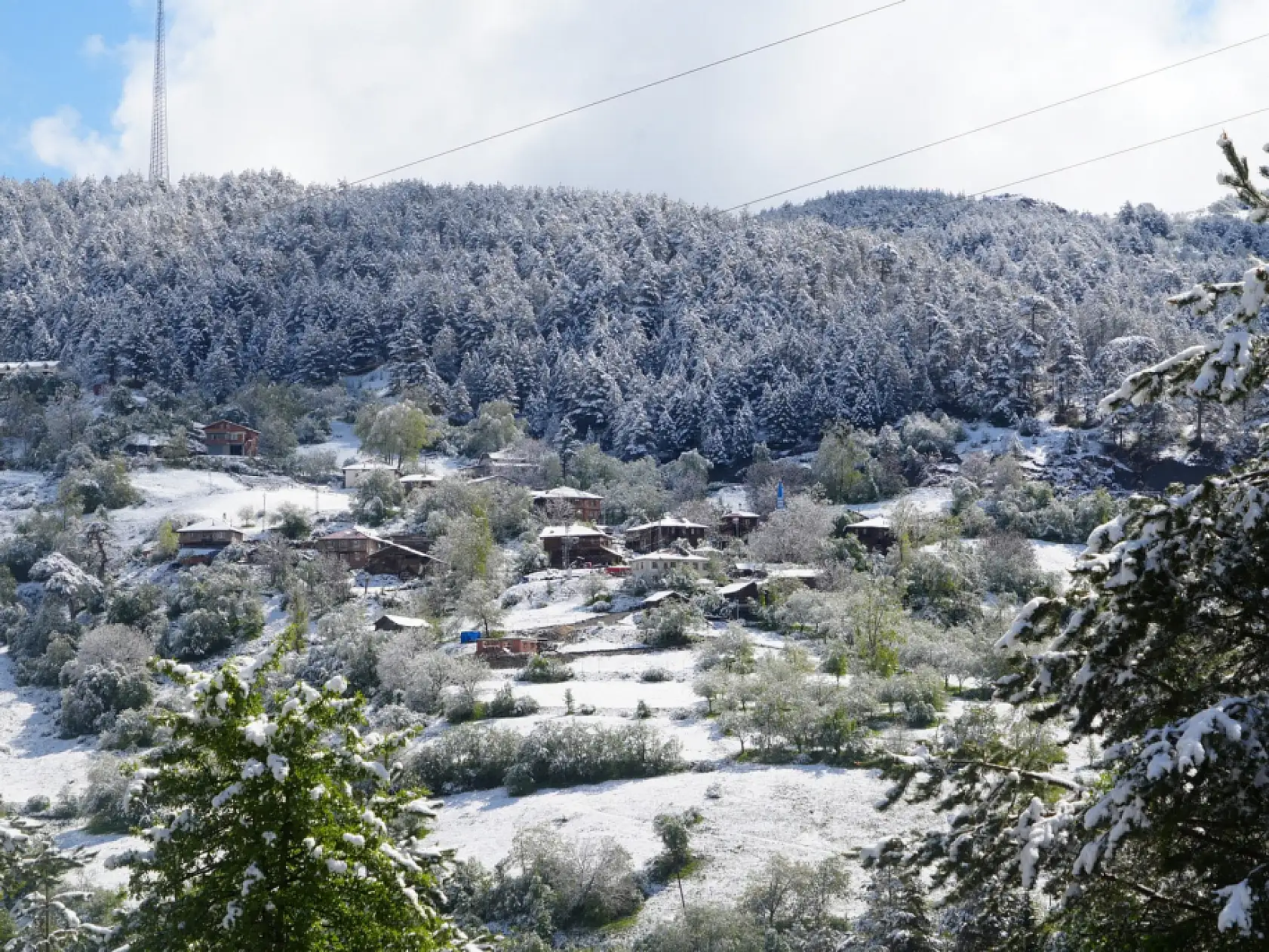 Mayıs ayı karı Ilgaz Dağı'nı beyaza bürüdü