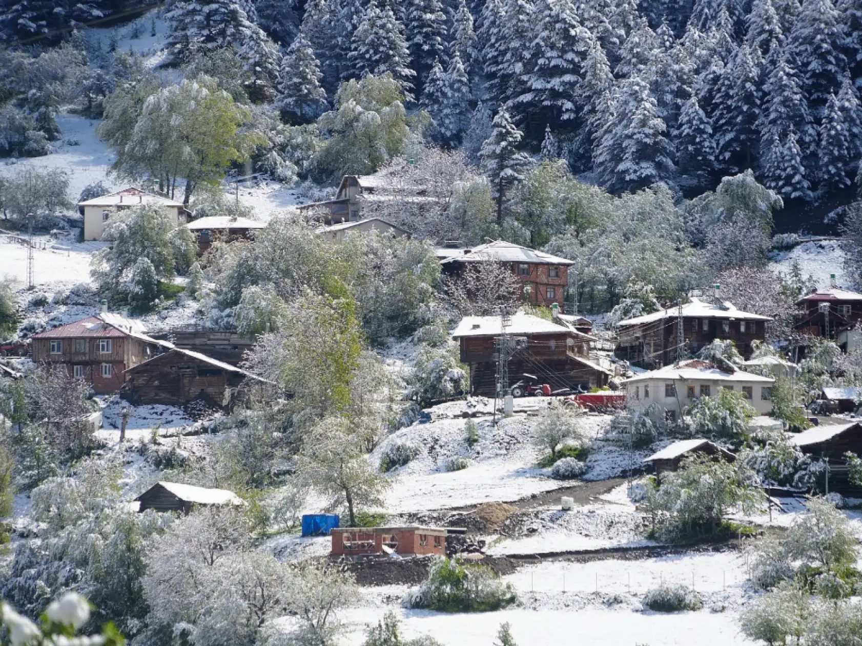 Mayıs ayı karı Ilgaz Dağı'nı beyaza bürüdü