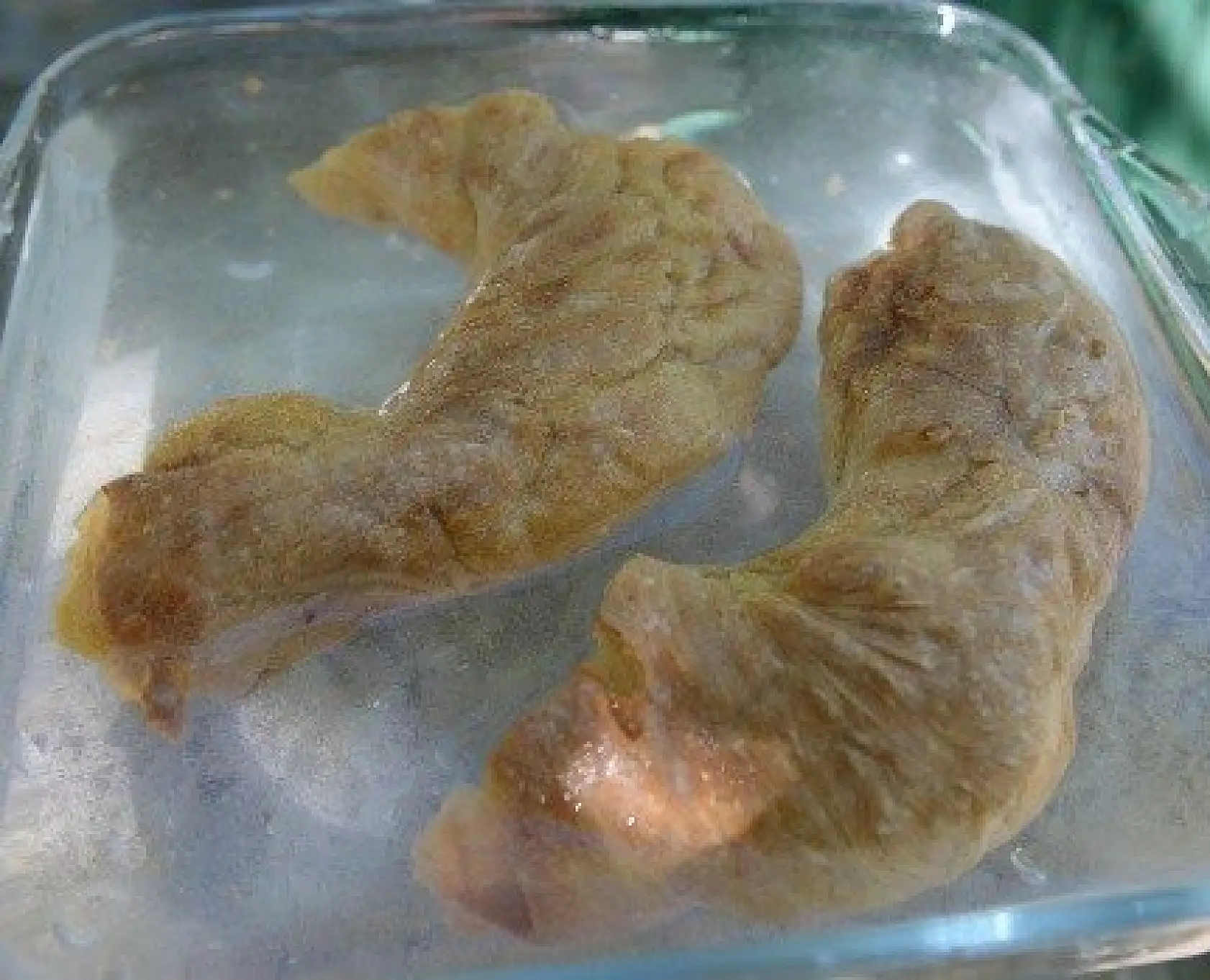 Dört günde hazırlanıp iki yıl taze kalan lezzet: Golit