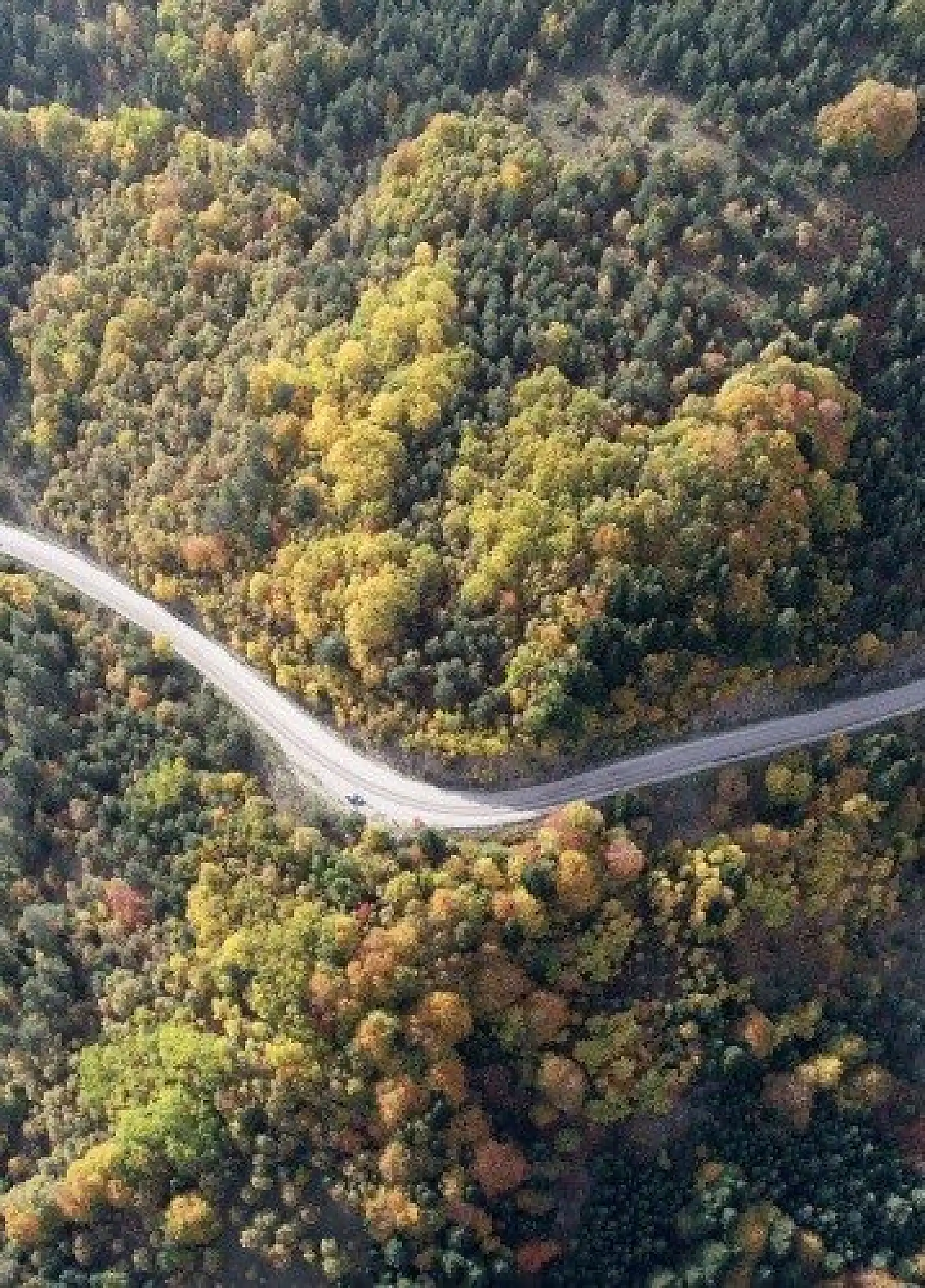 Küre Dağları saklı cennet gibi