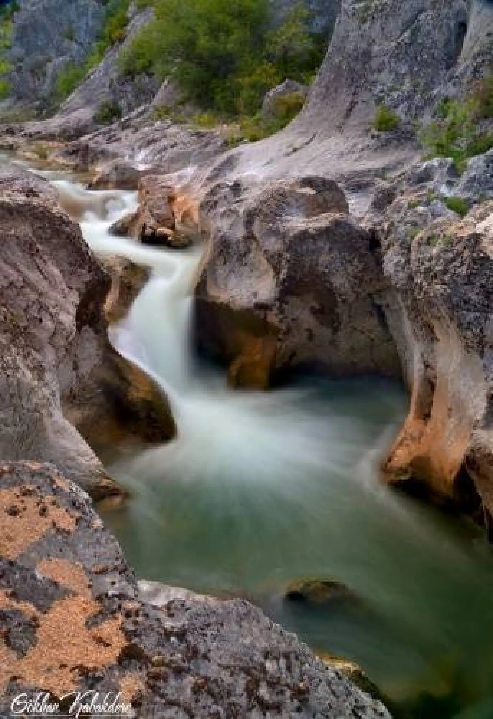Başkent'ten Küre Dağlarında foto safari