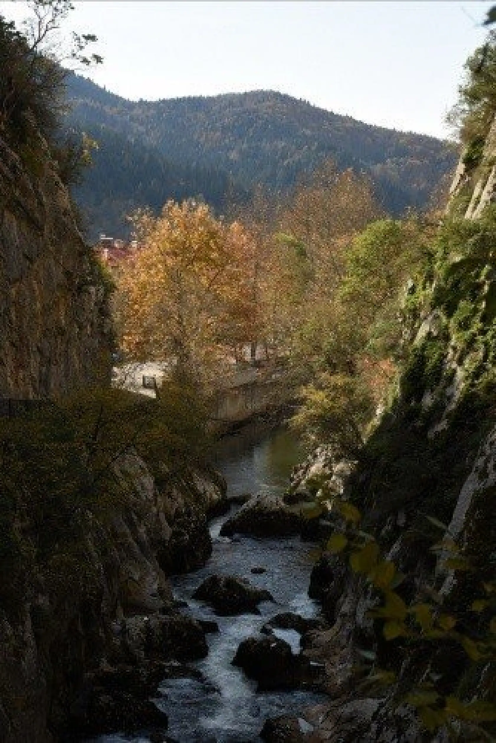 Küre Dağları Milli Parkı'nda sonbahar