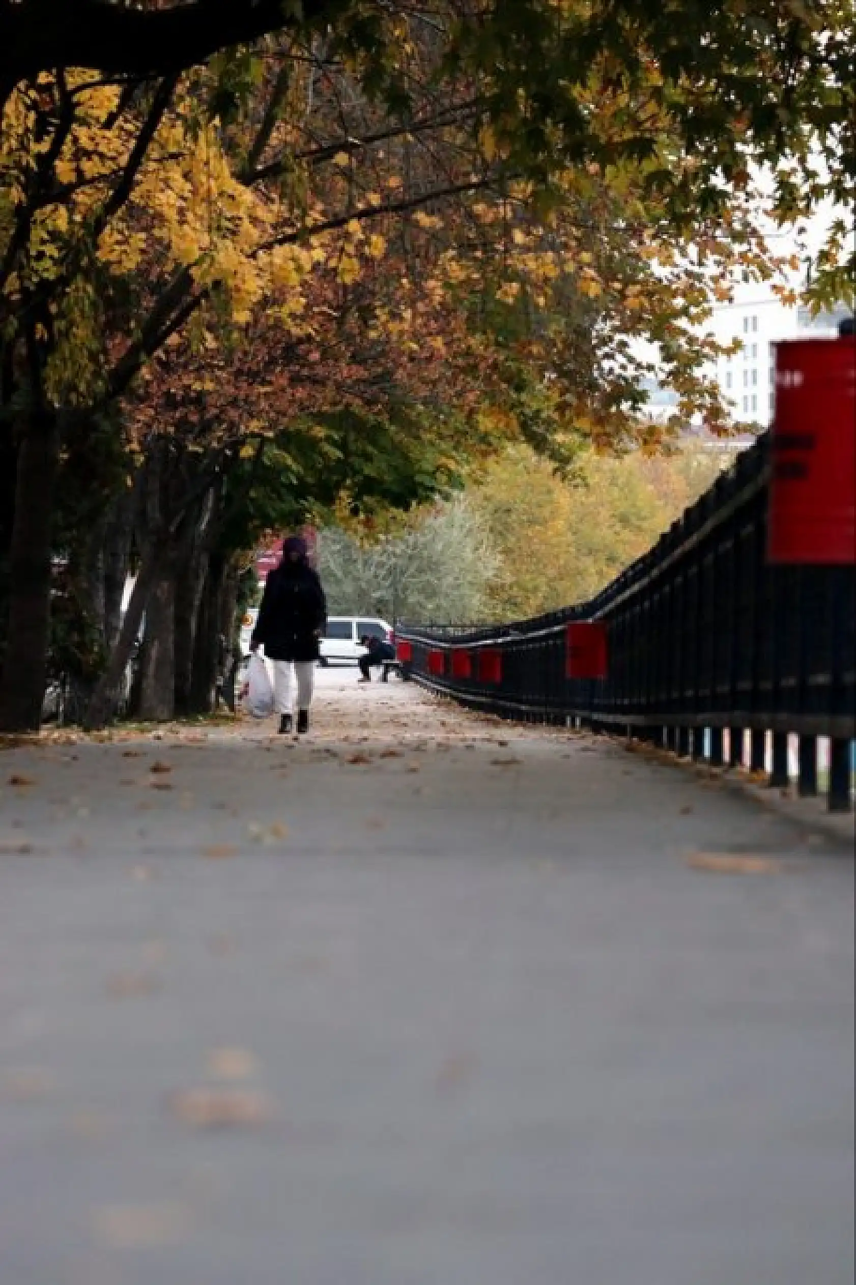 Şehir merkezinde sonbahar ayrı bir güzel