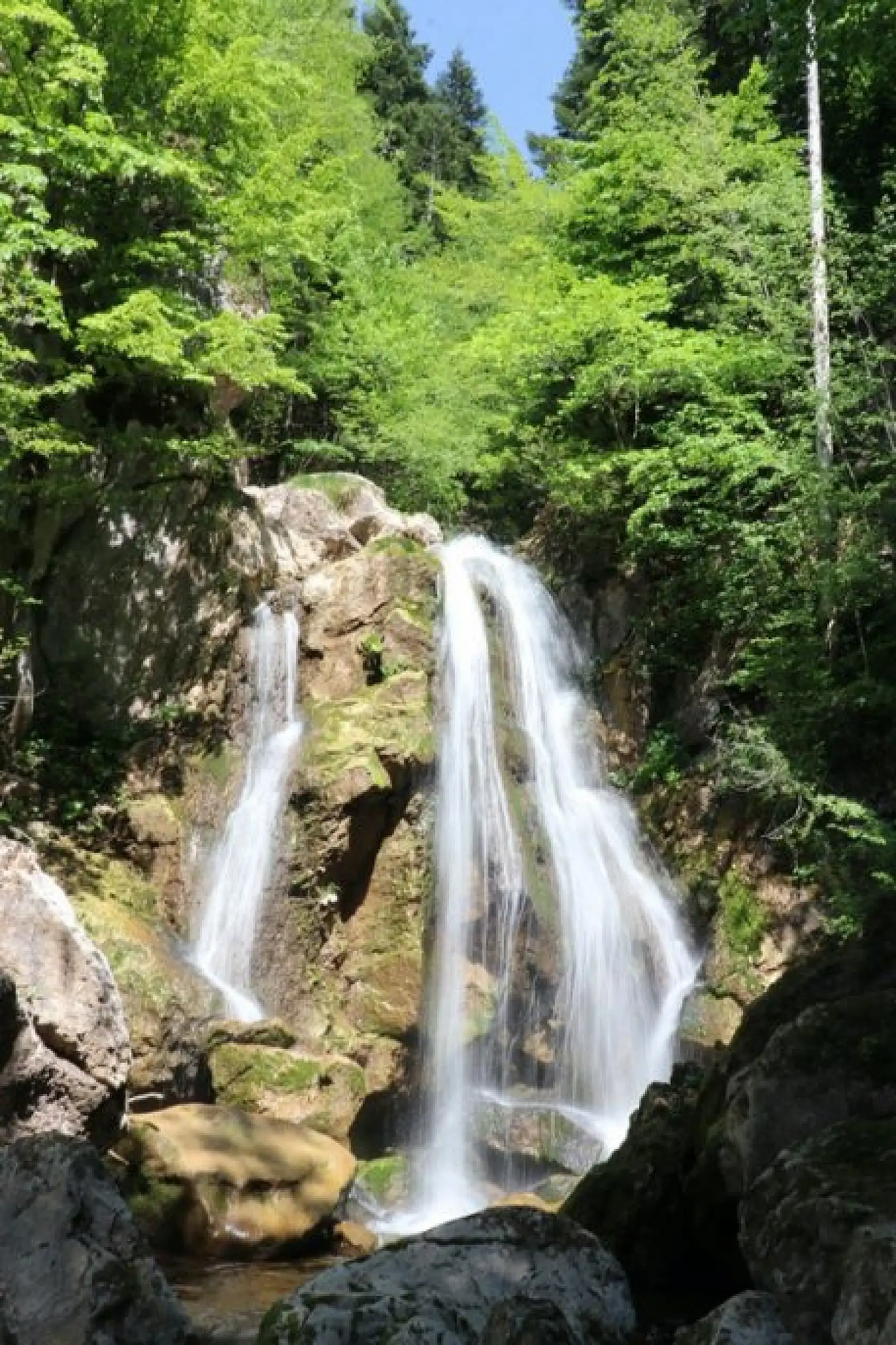 Yeşilin tonları arasında bir şelale: Kızılcasu