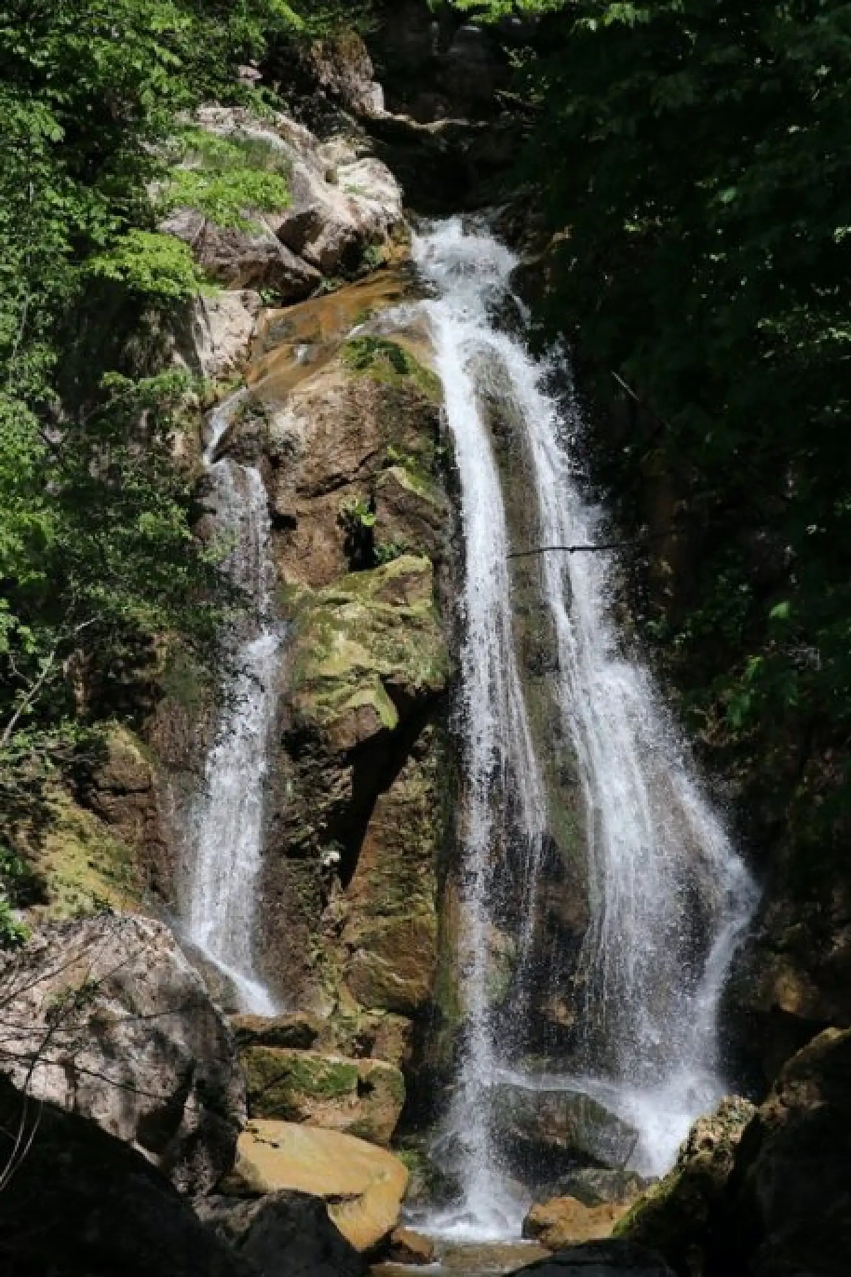 Yeşilin tonları arasında bir şelale: Kızılcasu