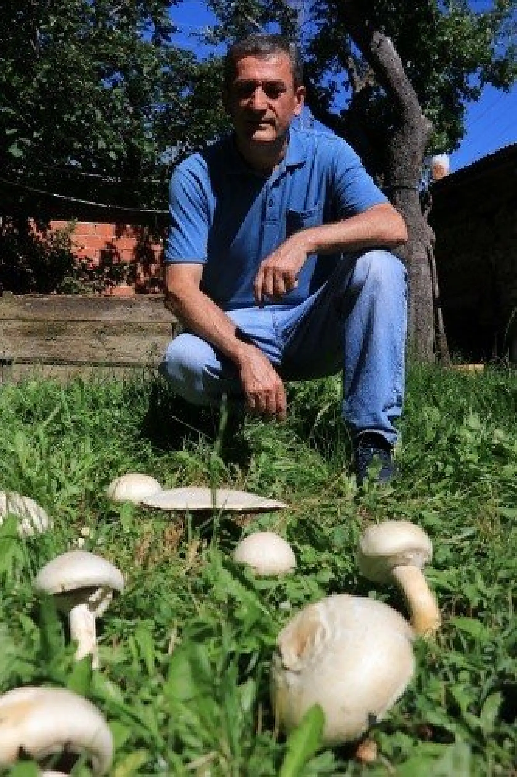 Top zannetti, 5 kilogram ağırlığında mantar çıktı