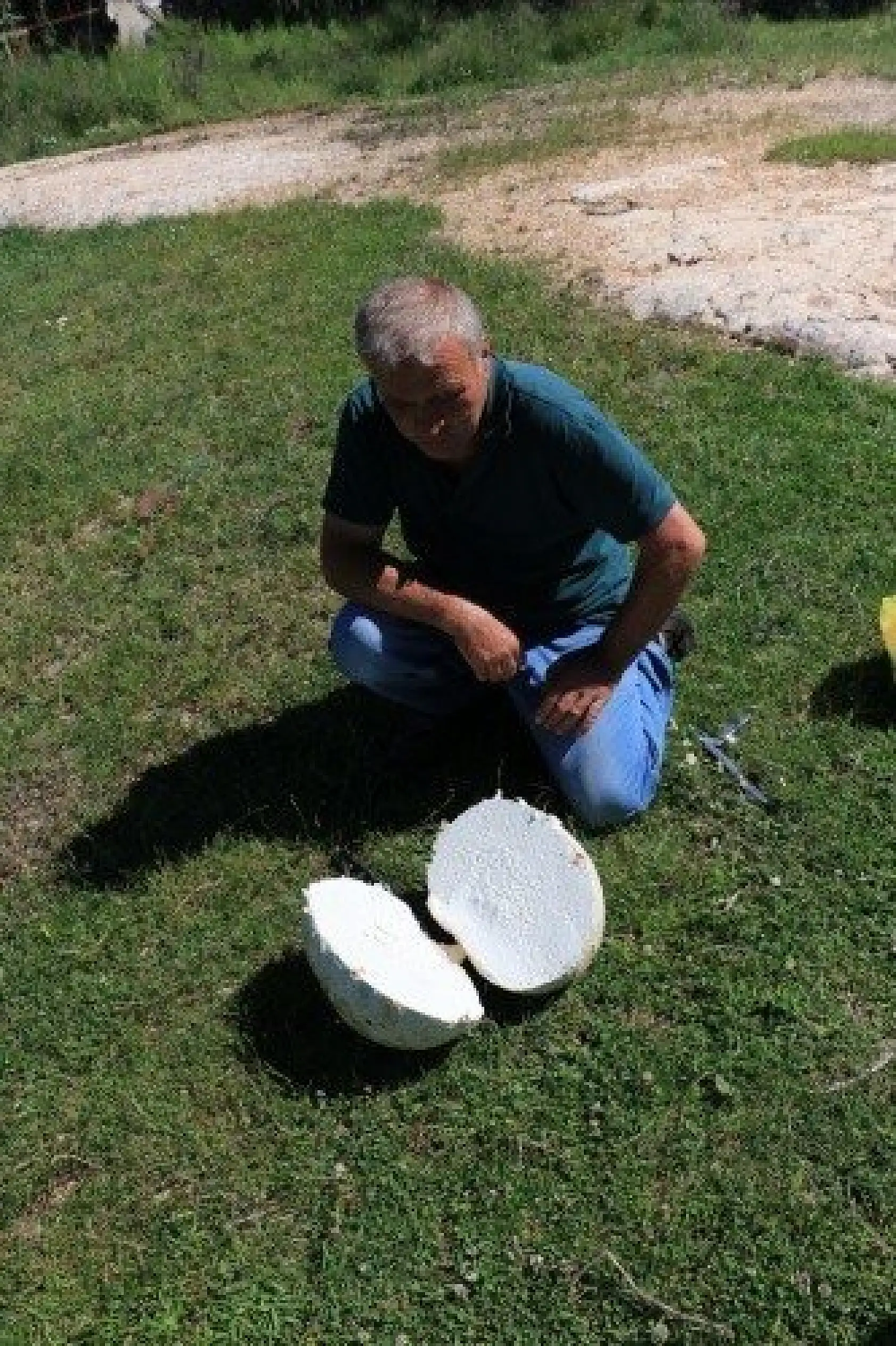 Top zannetti, 5 kilogram ağırlığında mantar çıktı