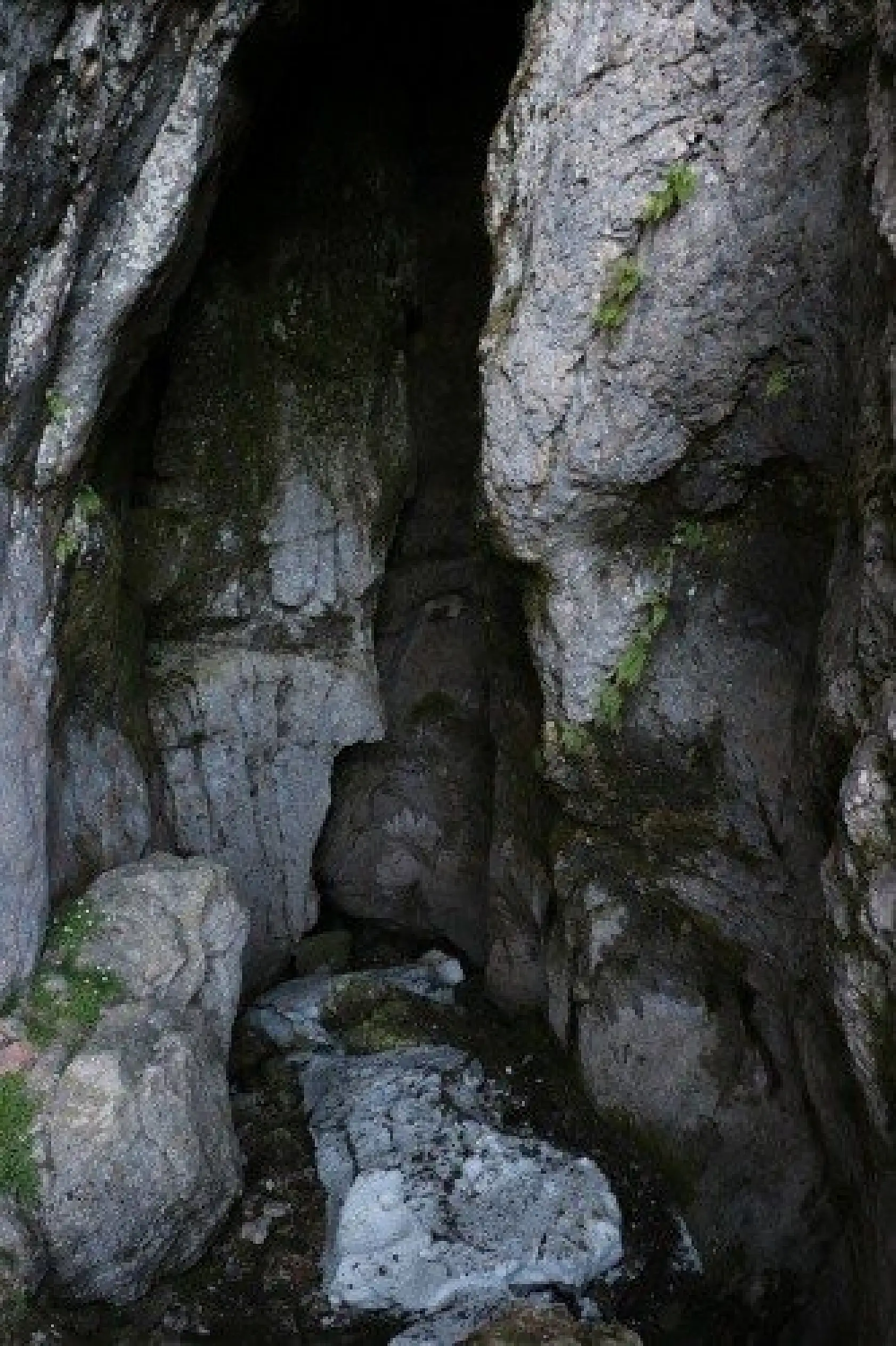 Karı ağustos sıcağında bile erimeyen mağara ilgi çekiyor