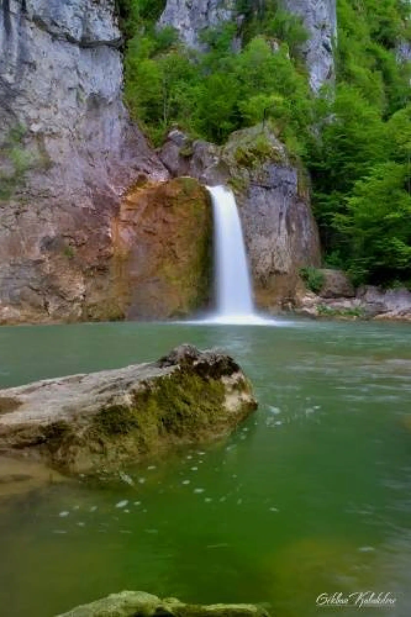 Başkent'ten Küre Dağlarında foto safari