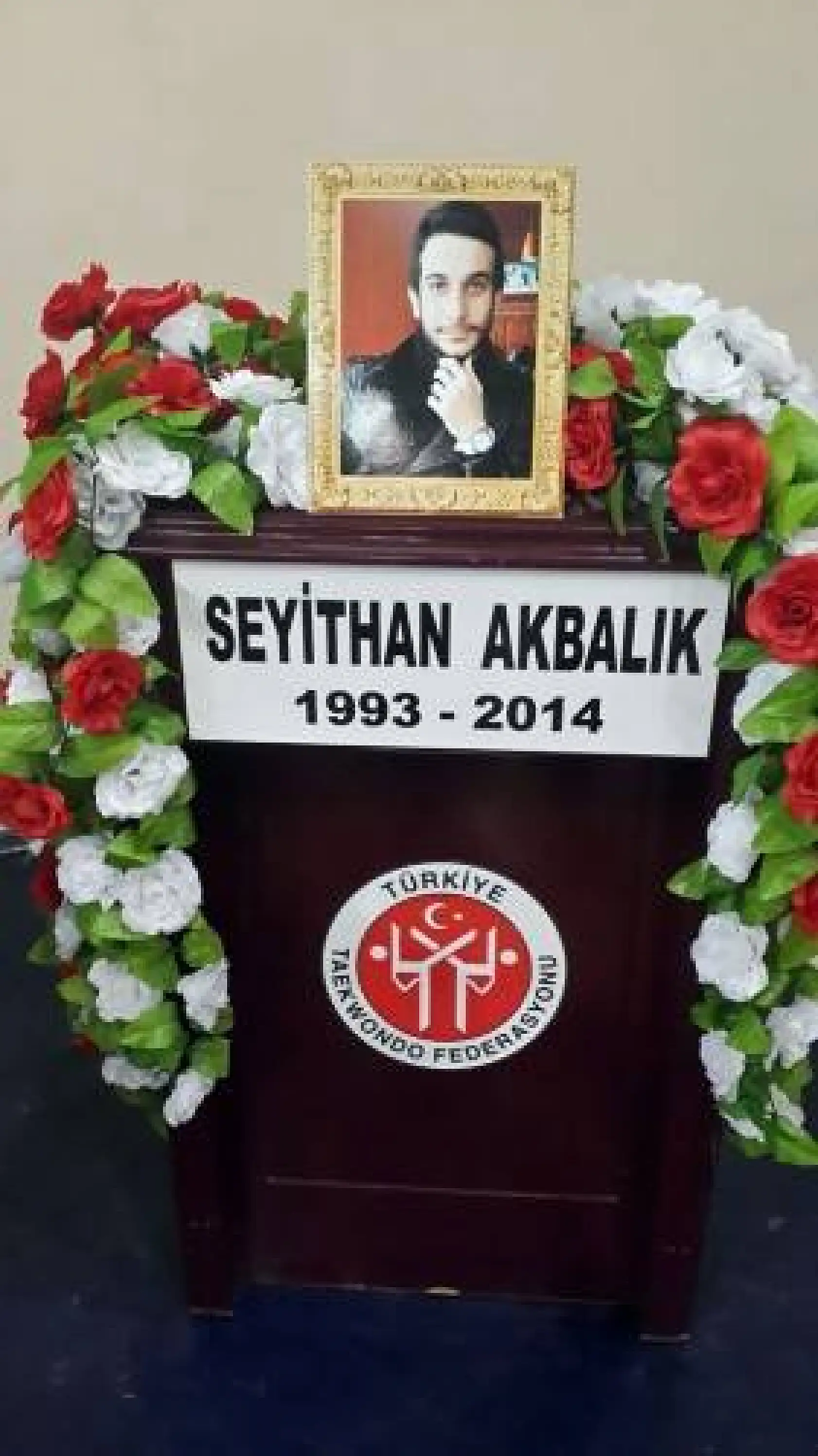 Büyükler Türkiye Taekwondo Şampiyonası 22-27 Şubat 2014 Alanya