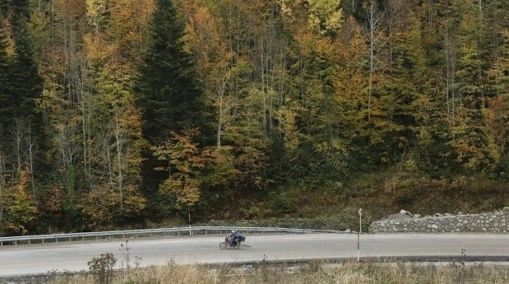 Küre Dağlarında sonbahar renklerinin görsel şöleni